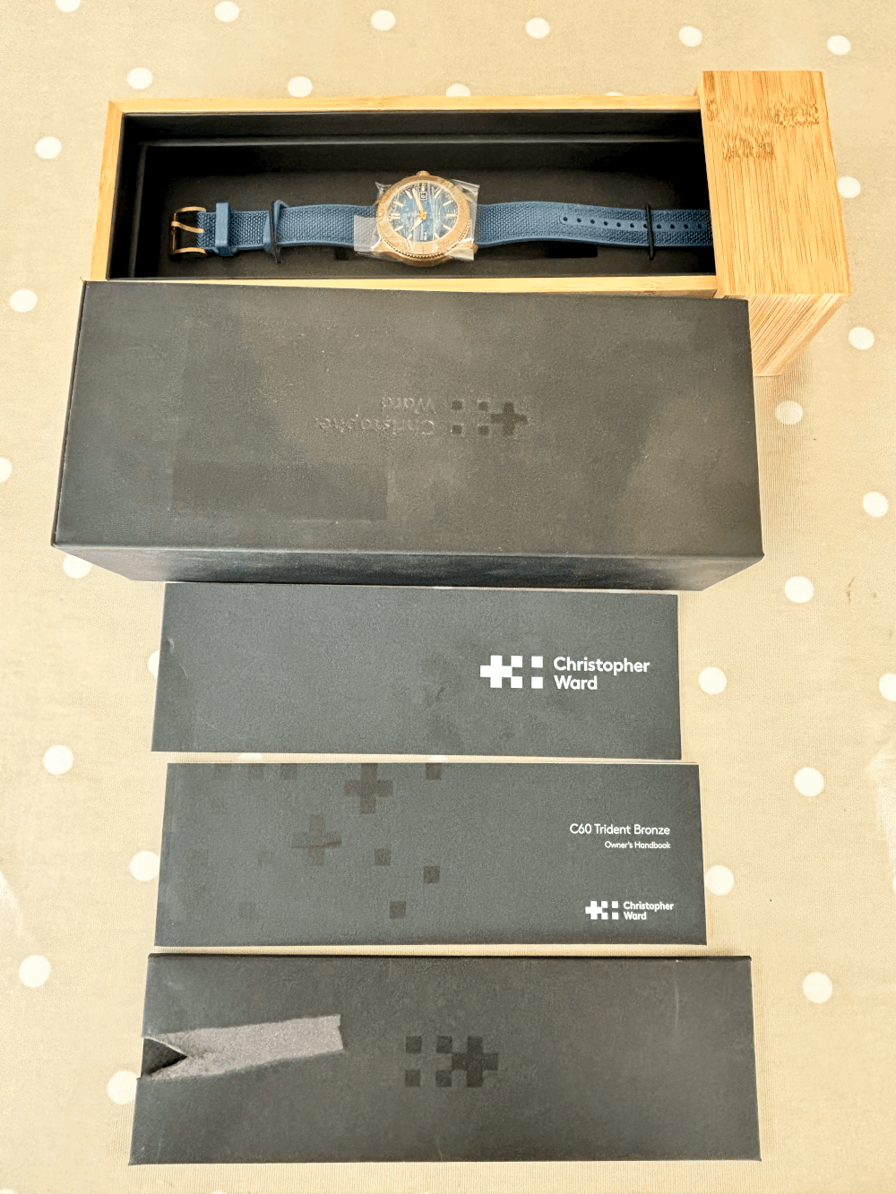 SOLD WH299 C60 Trident Bronze Mk3 Pro 600 40mm (01/2021) — Ward Hoard