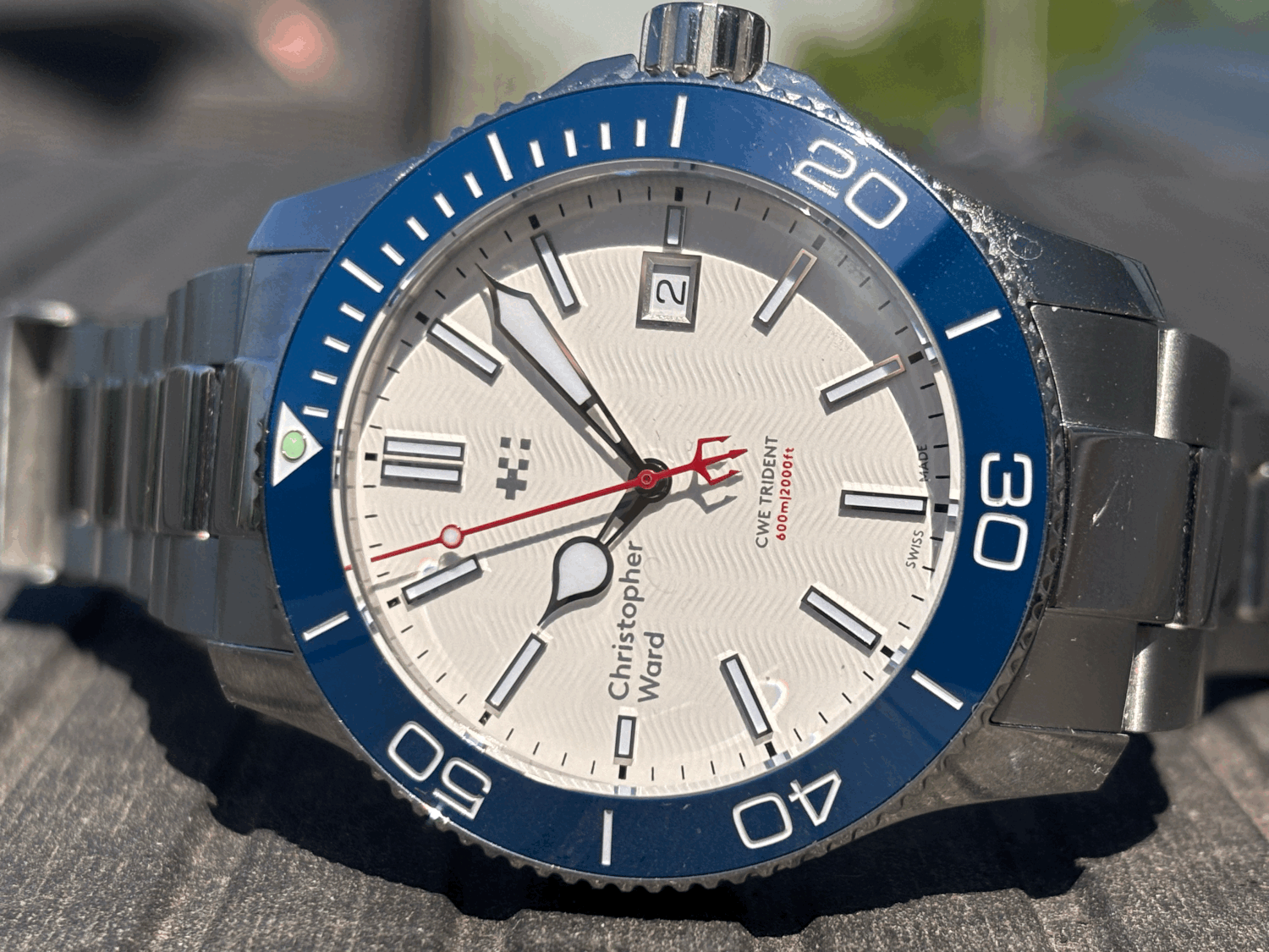 ワフワフ $_1.JPG?set_id=8800005007