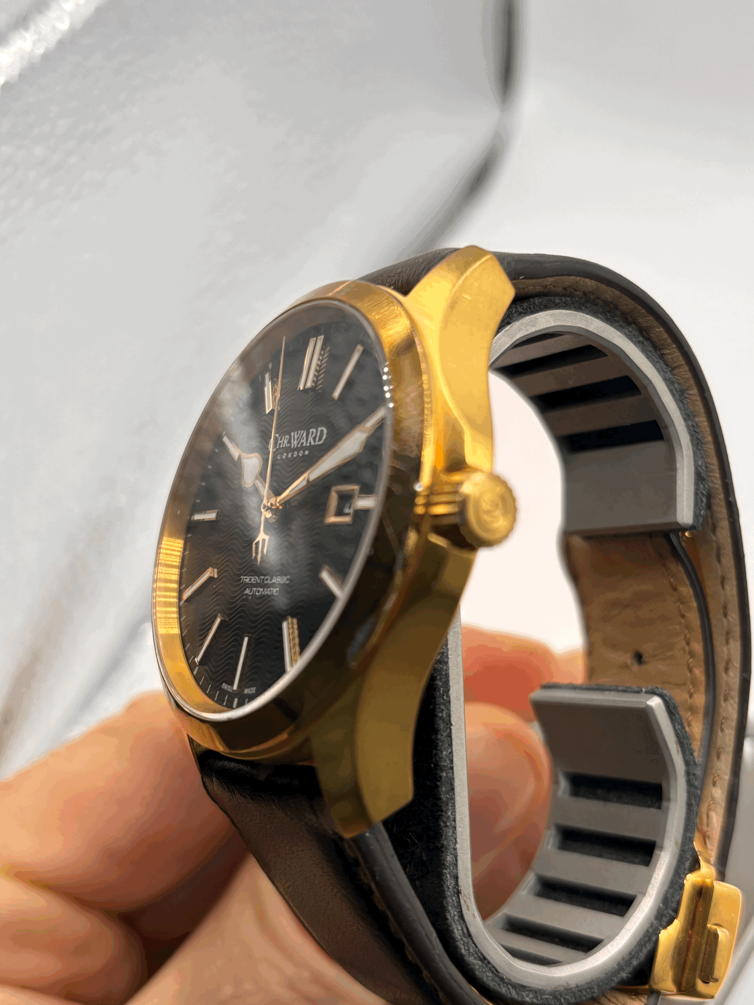 tempImageC51S4V.gif (Copy)