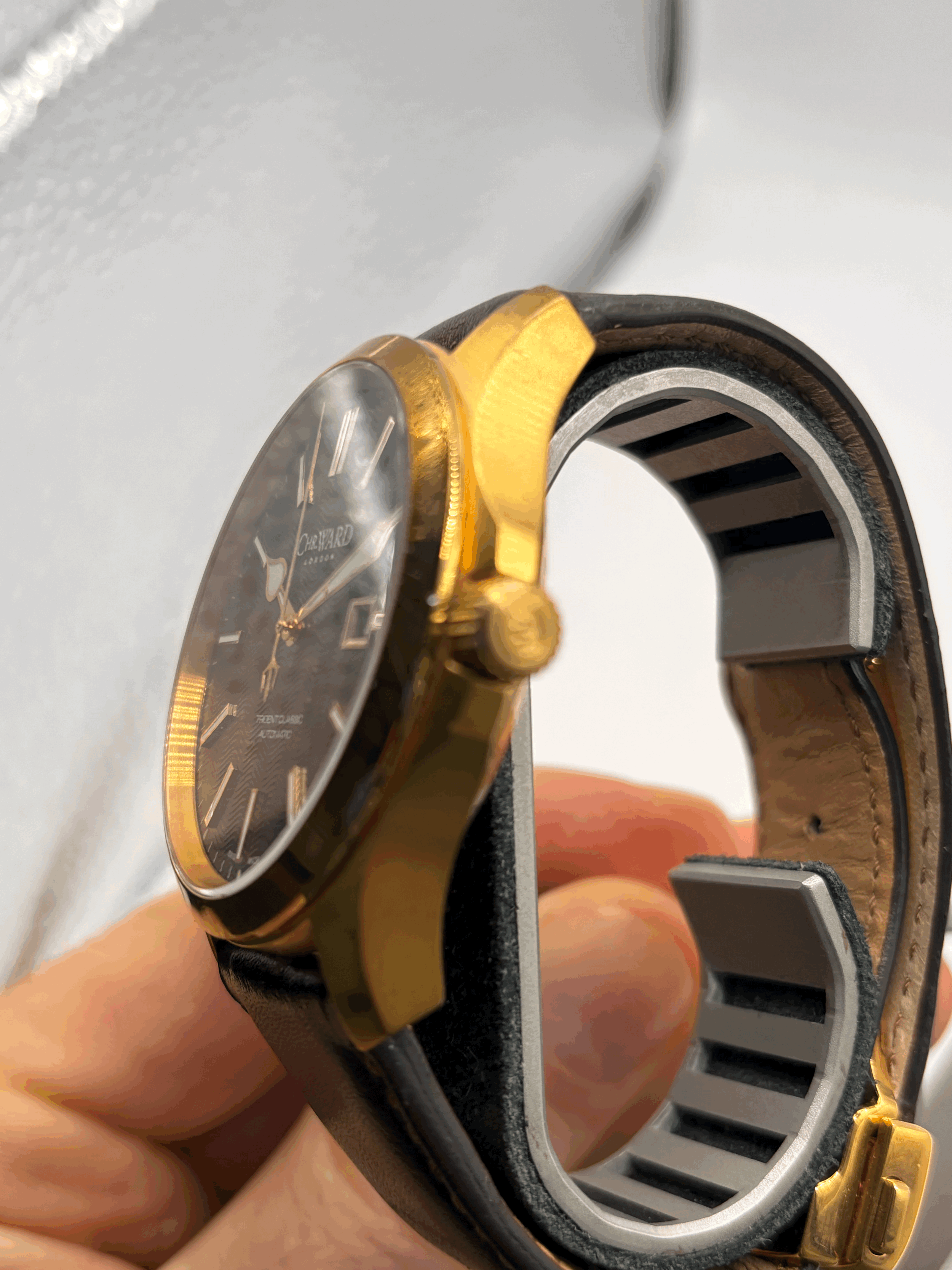 tempImageRKyVHa.gif (Copy)