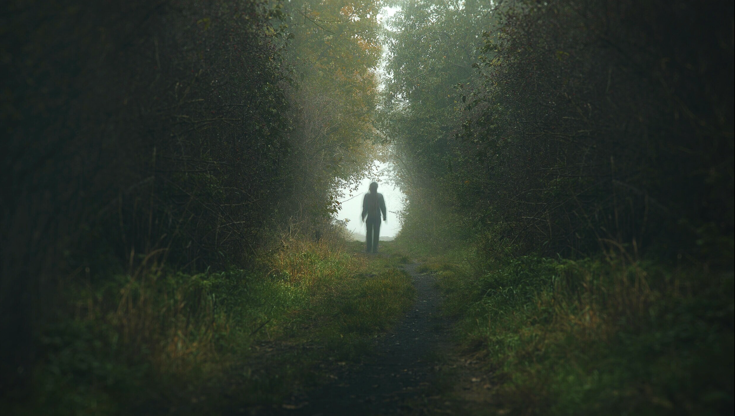 Soul invitation - The Wandering