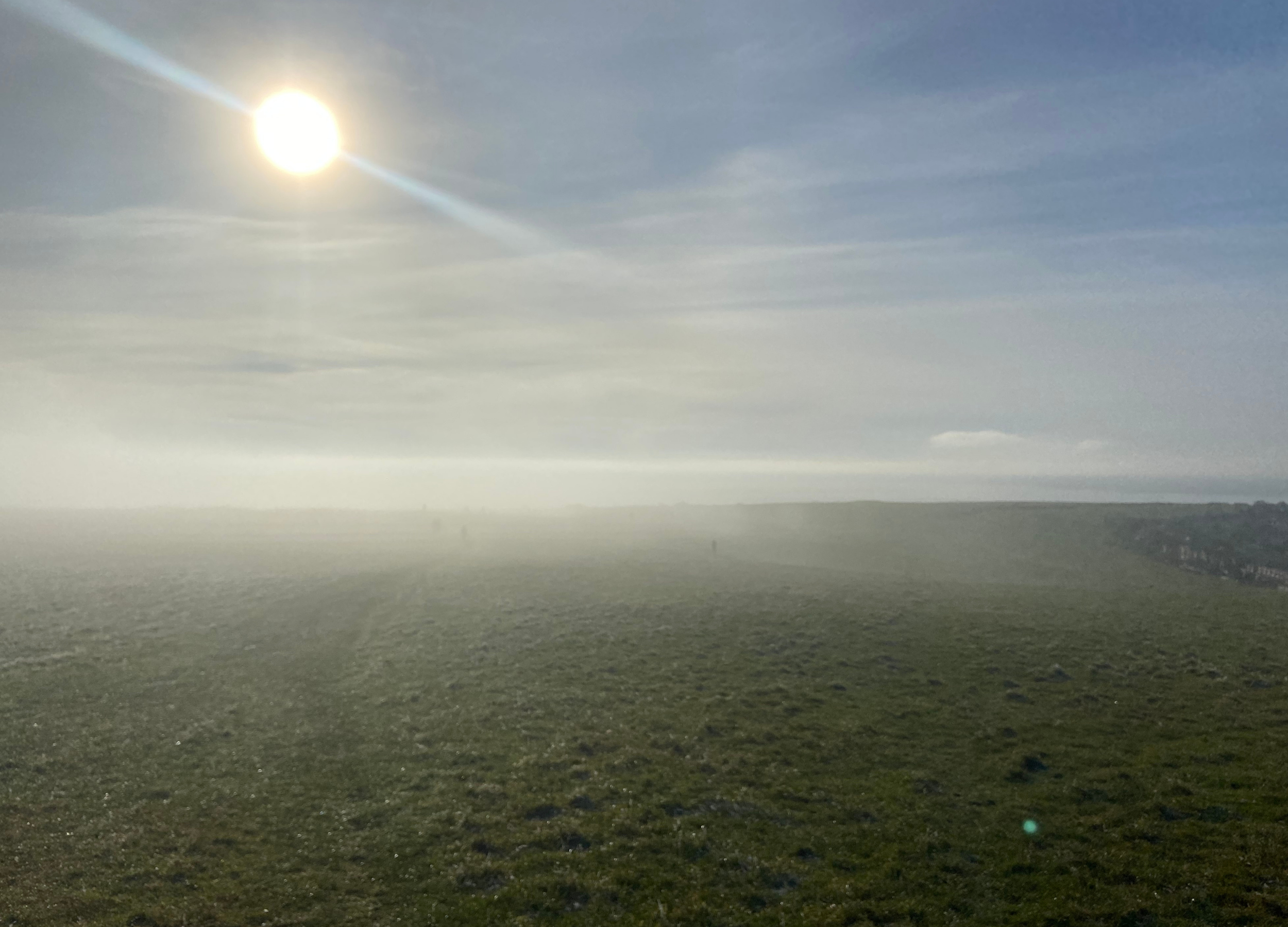 Landscape website images (3).png