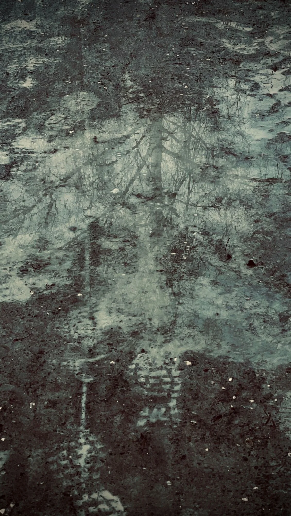 Edge Walker : Walking meditation