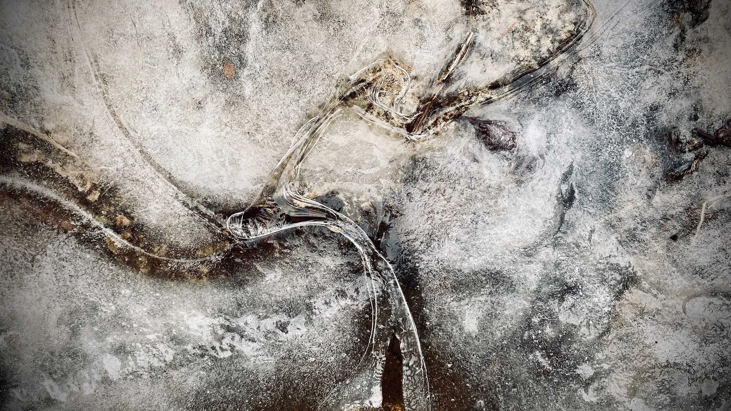 Our Collective Tapestry