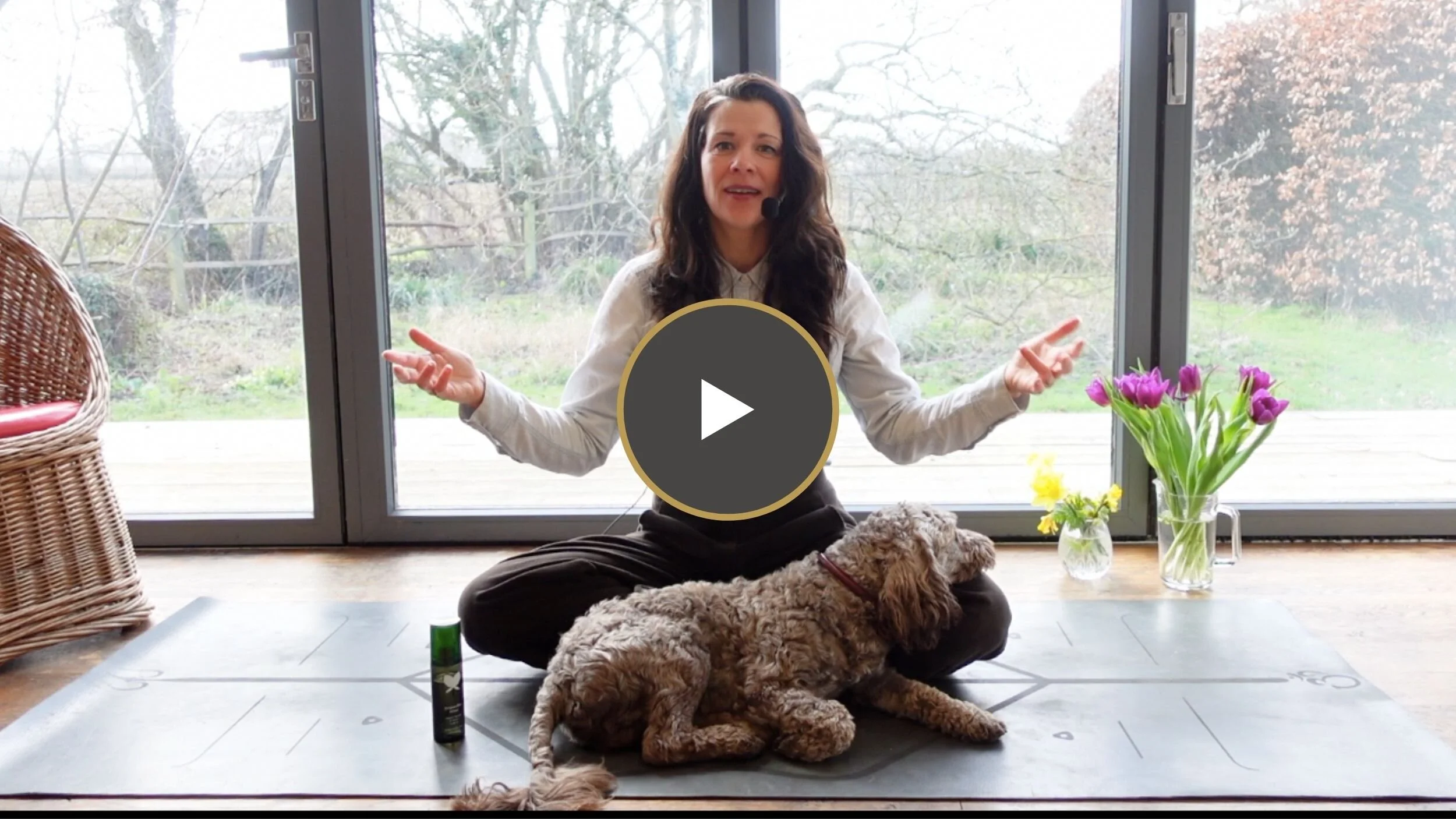 Heart Cave | Tracking The Inner &amp; Outer World