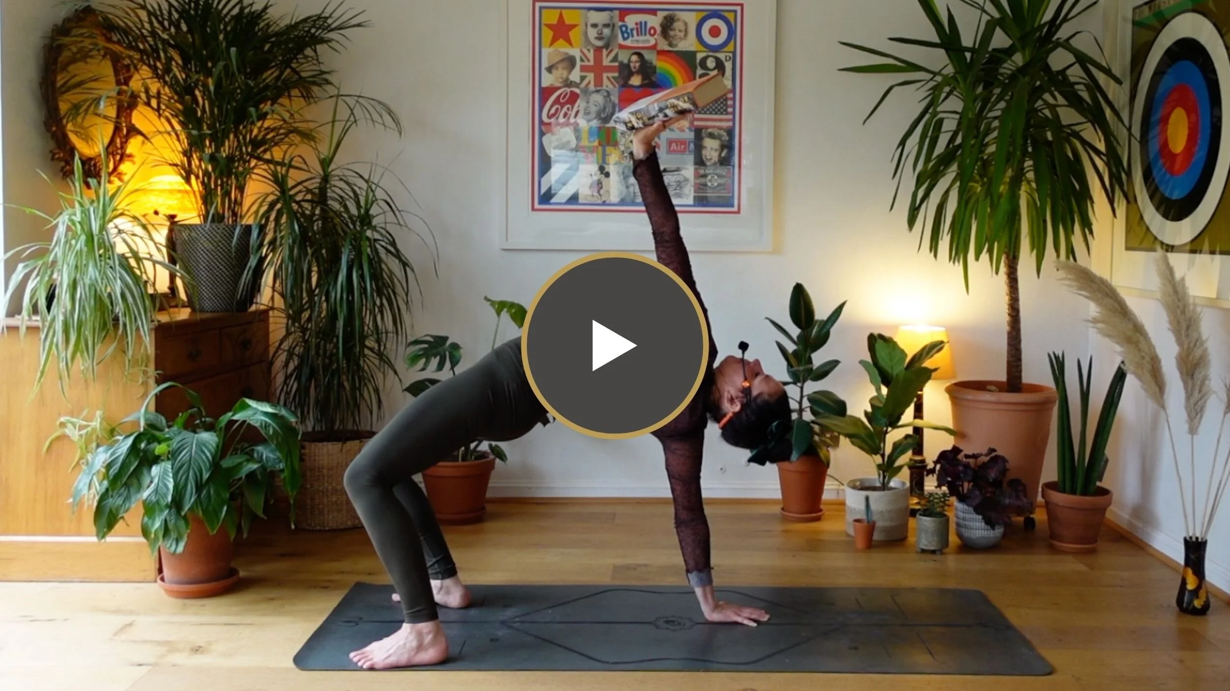 Daily Meds | Off The Beaten Path