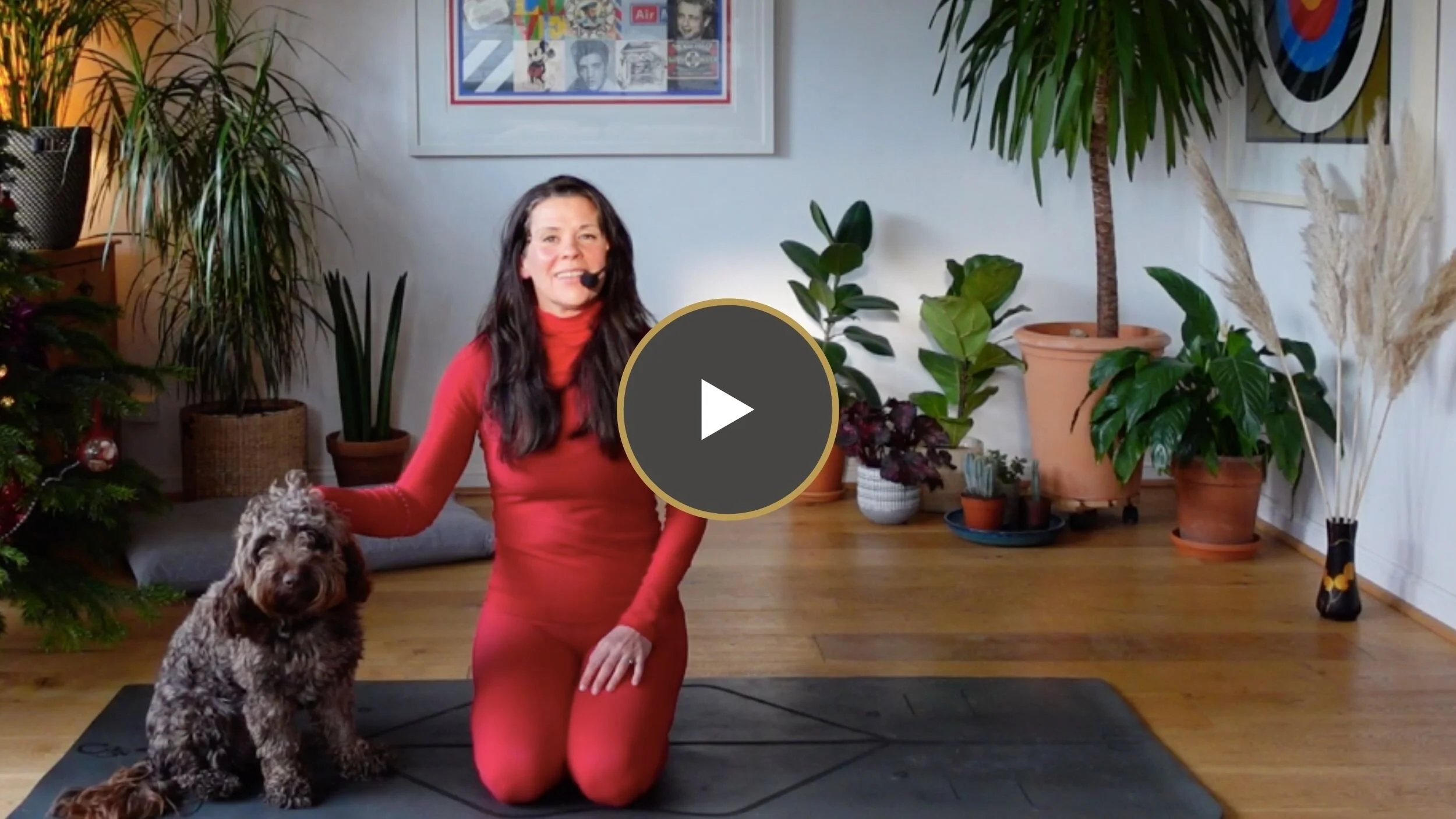 Burst | Here Comes The Sun