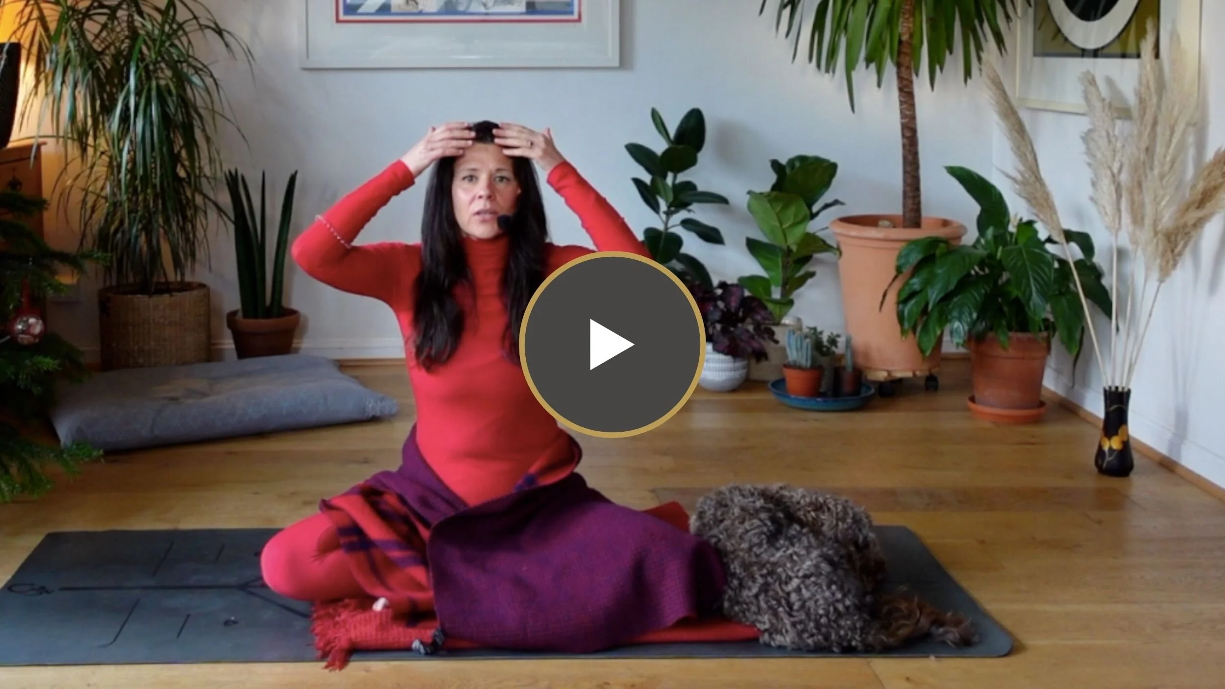 Heart Cave | Focused Relaxation