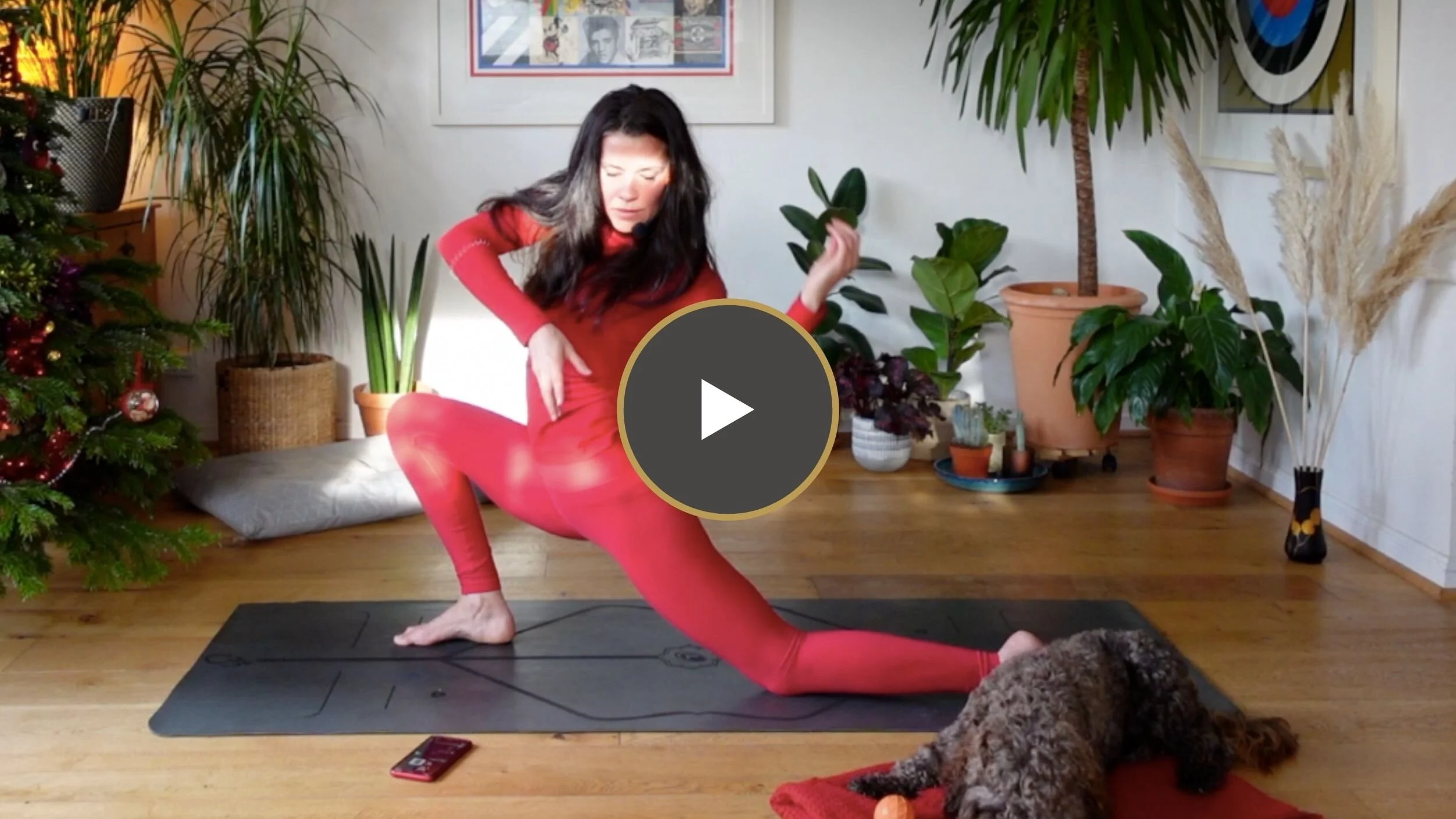 Daily Meds | A Moment Of Pleasure