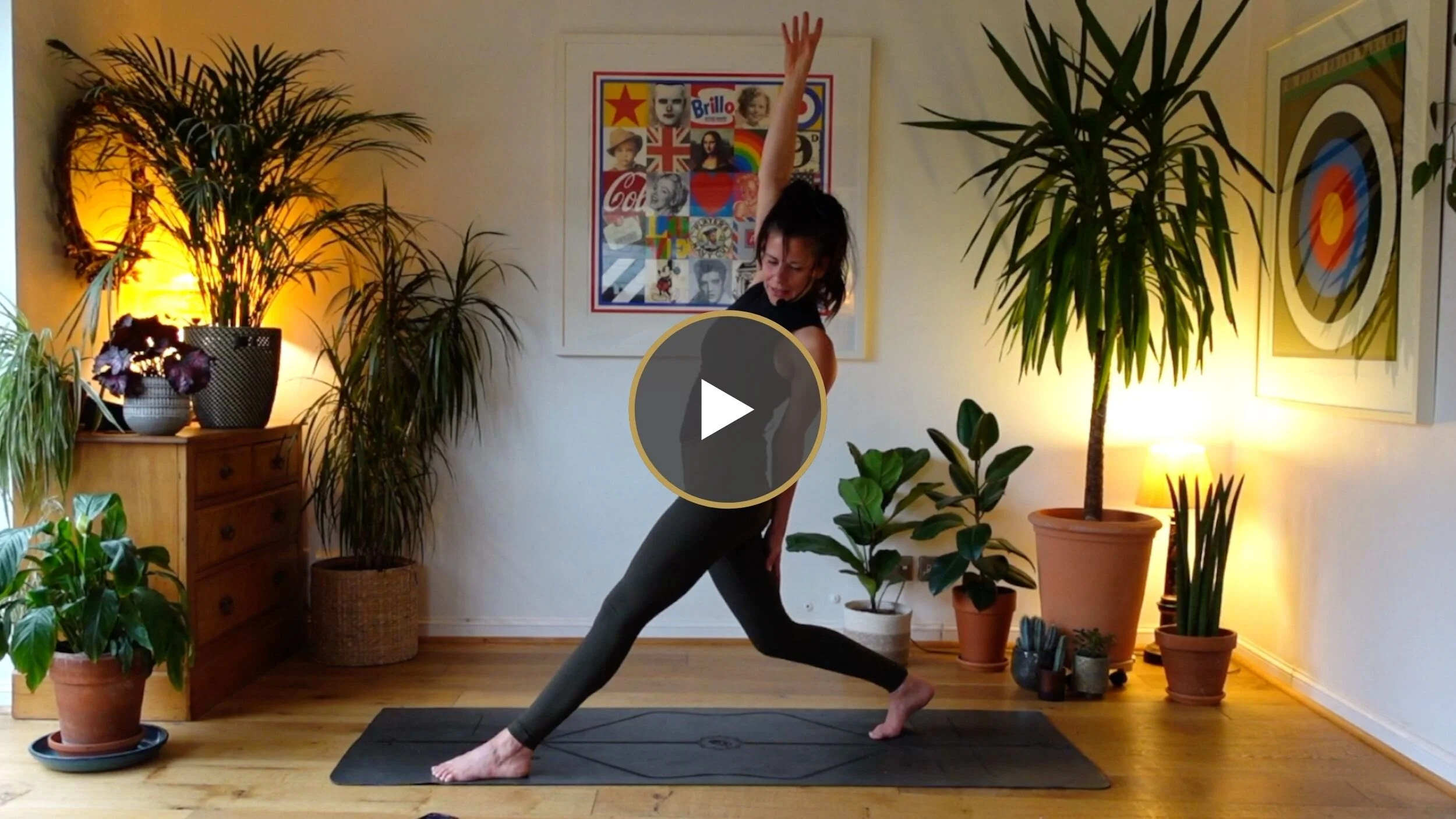 Daily Meds | We Flow Into The Mystic