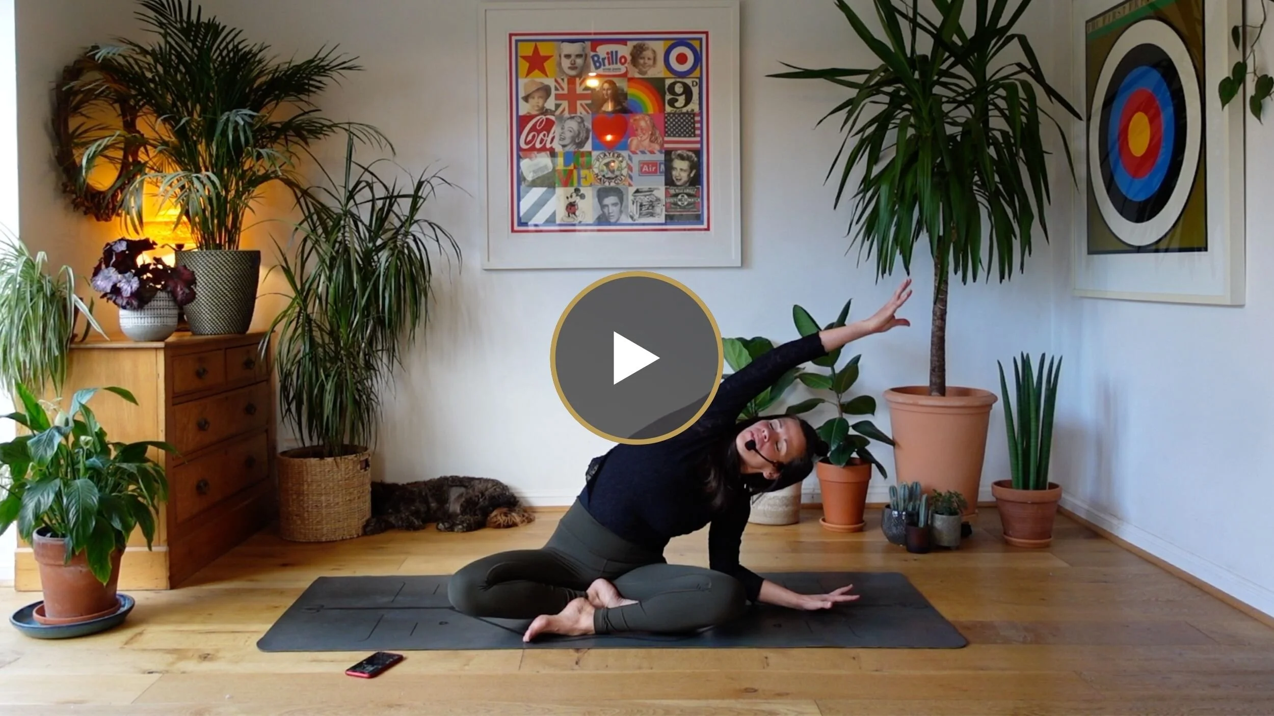 Daily Meds | Gentle Wake Up