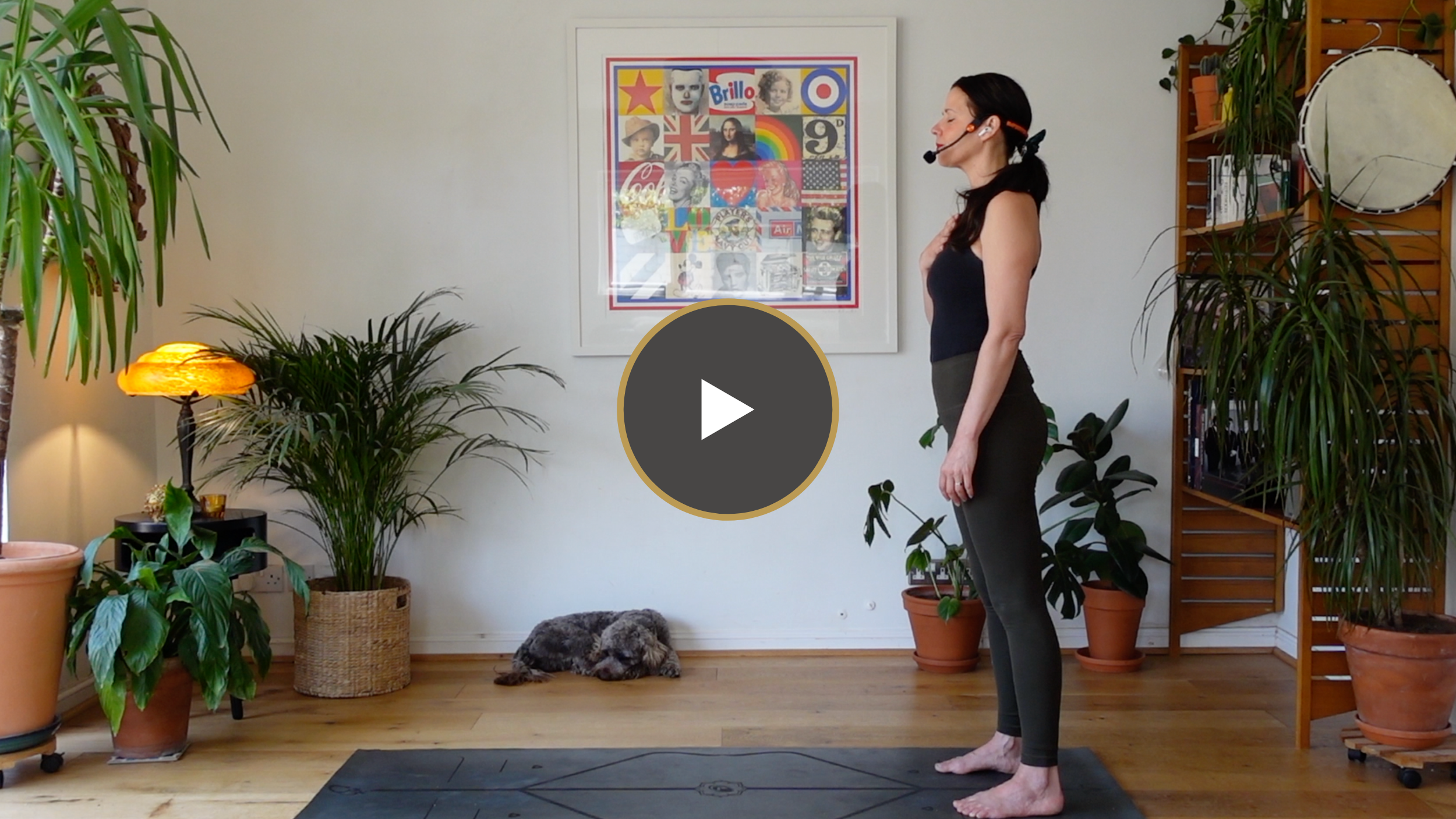 Daily Meds | Stillness In Motion