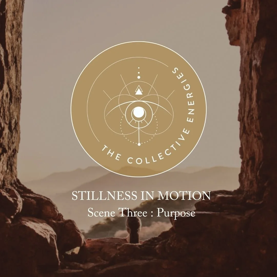 Stillness in Motion : Scene Three