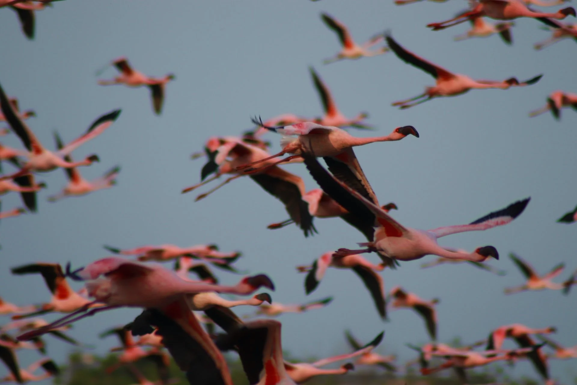 jeet-sandhu-qX3PXEBVT8k-unsplash (1).jpg