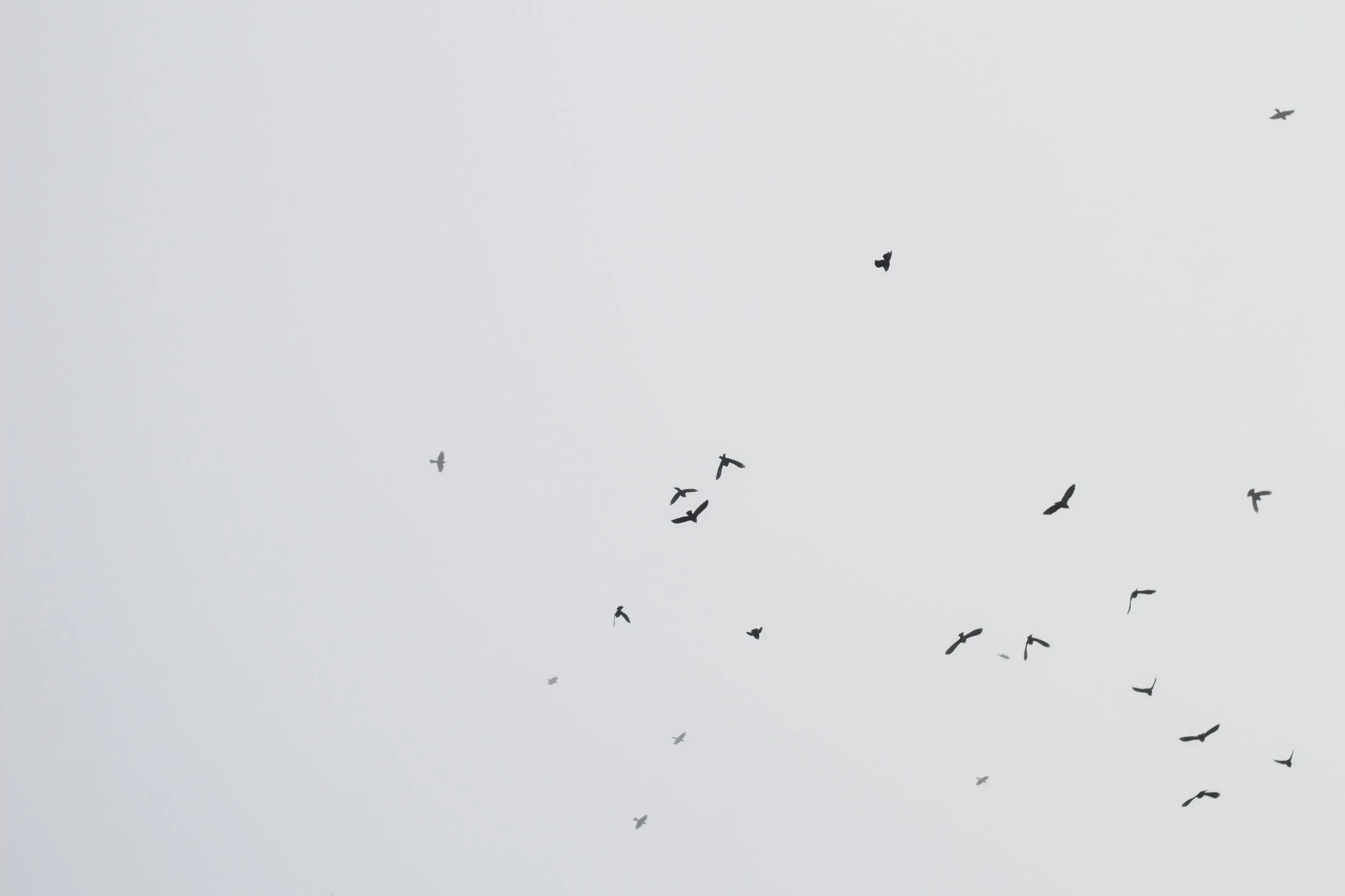 unsplash-image-7ibU7c2qnN0.jpg