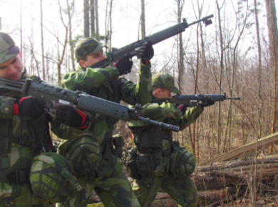 Make Armies Young Again? The Struggle of Europe’s Armies to Attract Young Servants 