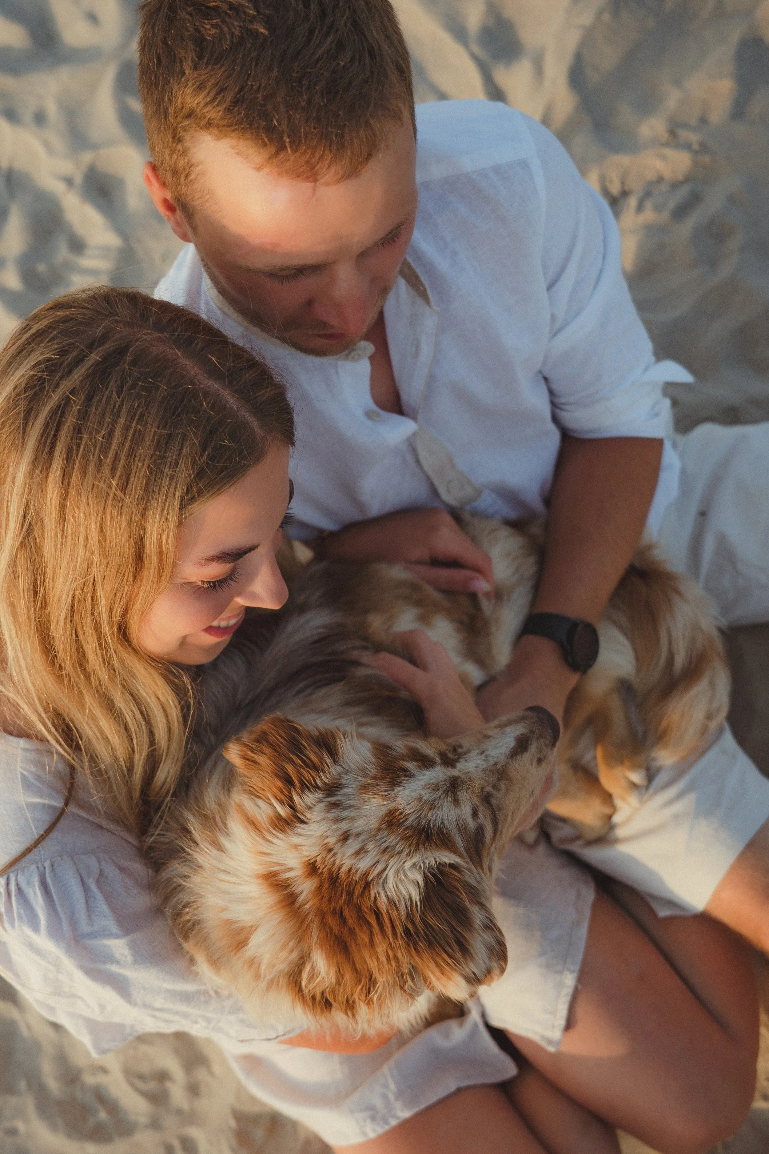 A young man and woman sitting on the sand, holding a golden retriever and a fluffy dog, smiling and enjoying a moment together.