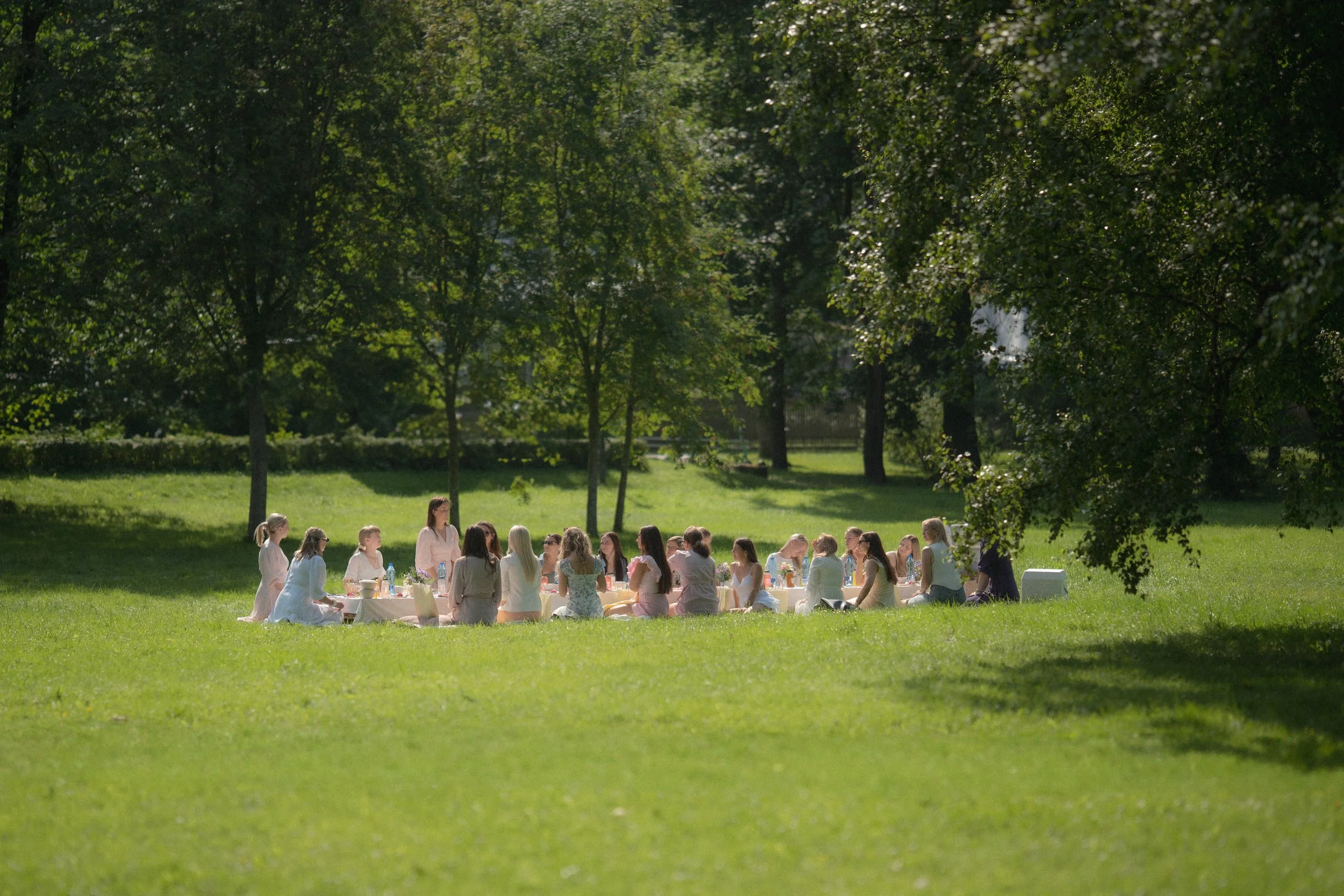 A group of women is having a picnic outdoors in a grassy park with tall trees and sunlight filtering through the leaves.