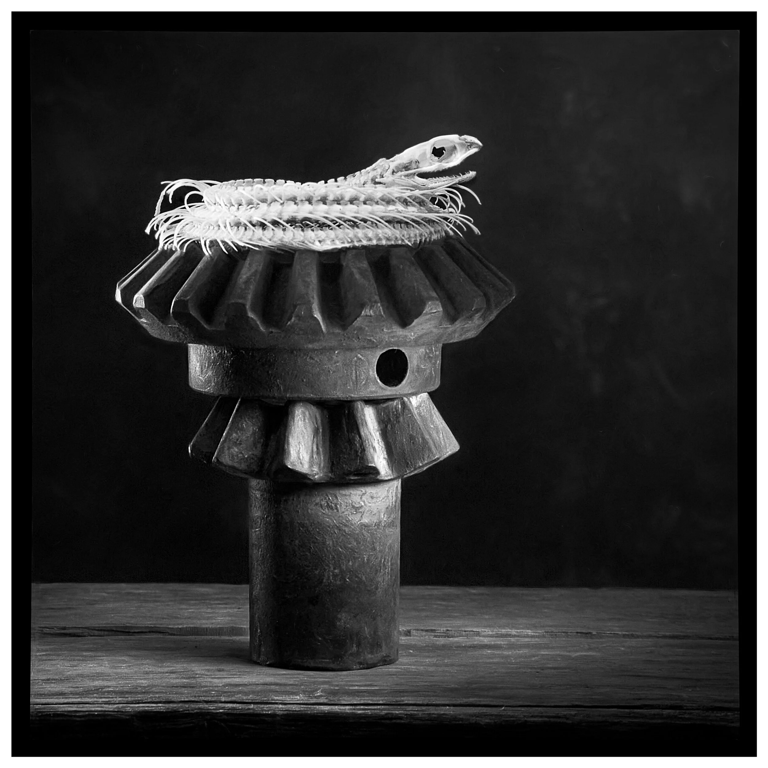 Gestalt Series No1_Part 1