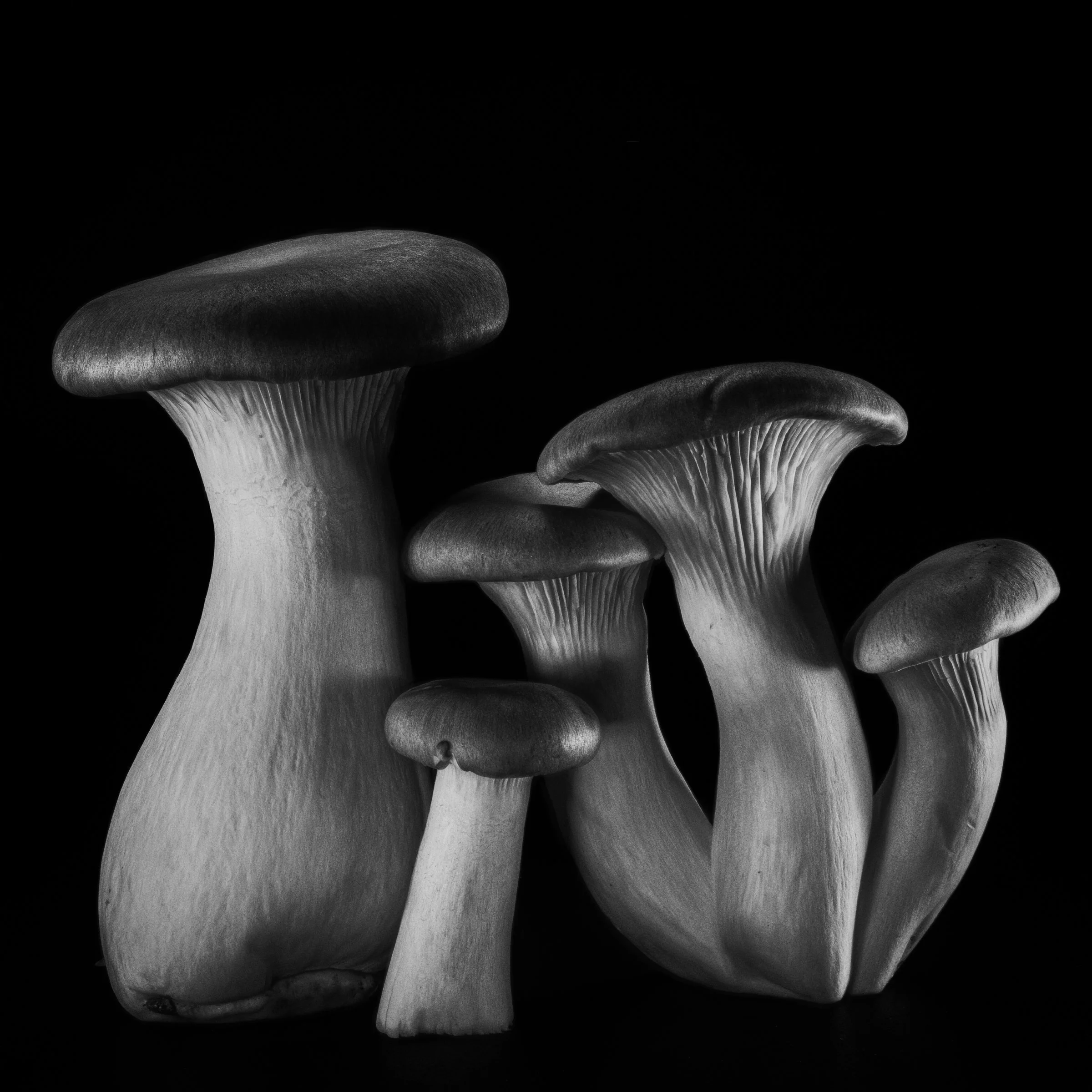 #17-Inspired by-Edward Weston