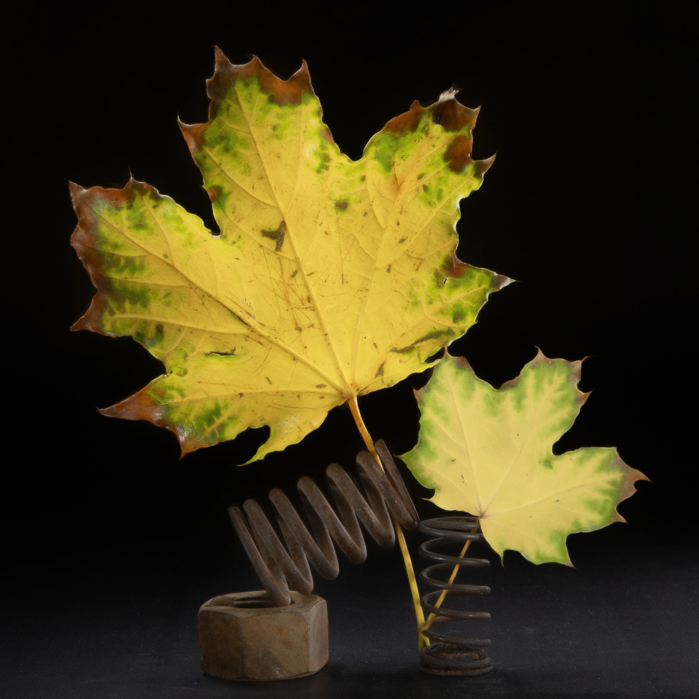 #26-Change of Season