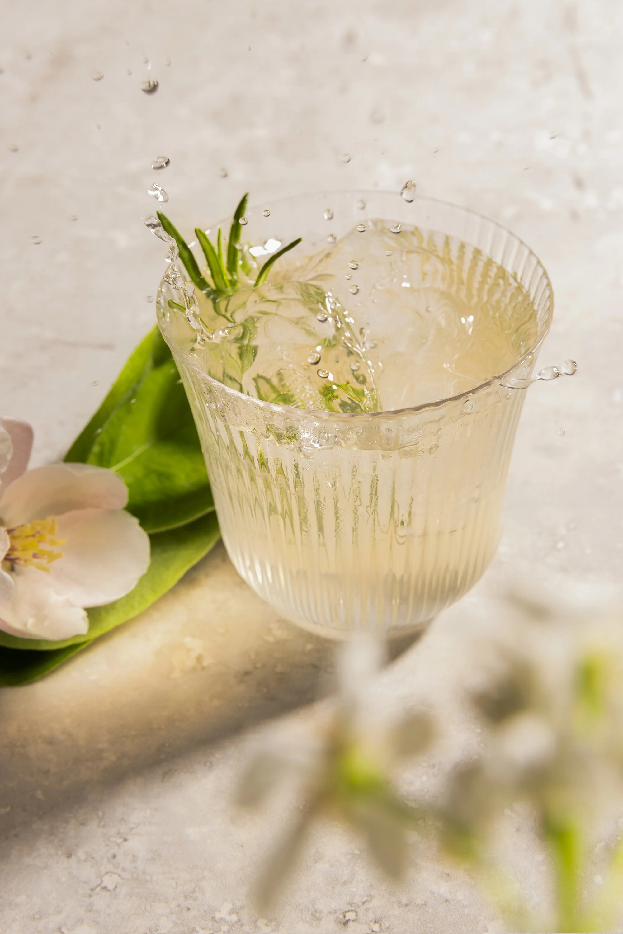 photographe-culinaire-produit-paris-publicite-spiritueux-orleans-centre-val-de-loire-gin.jpg