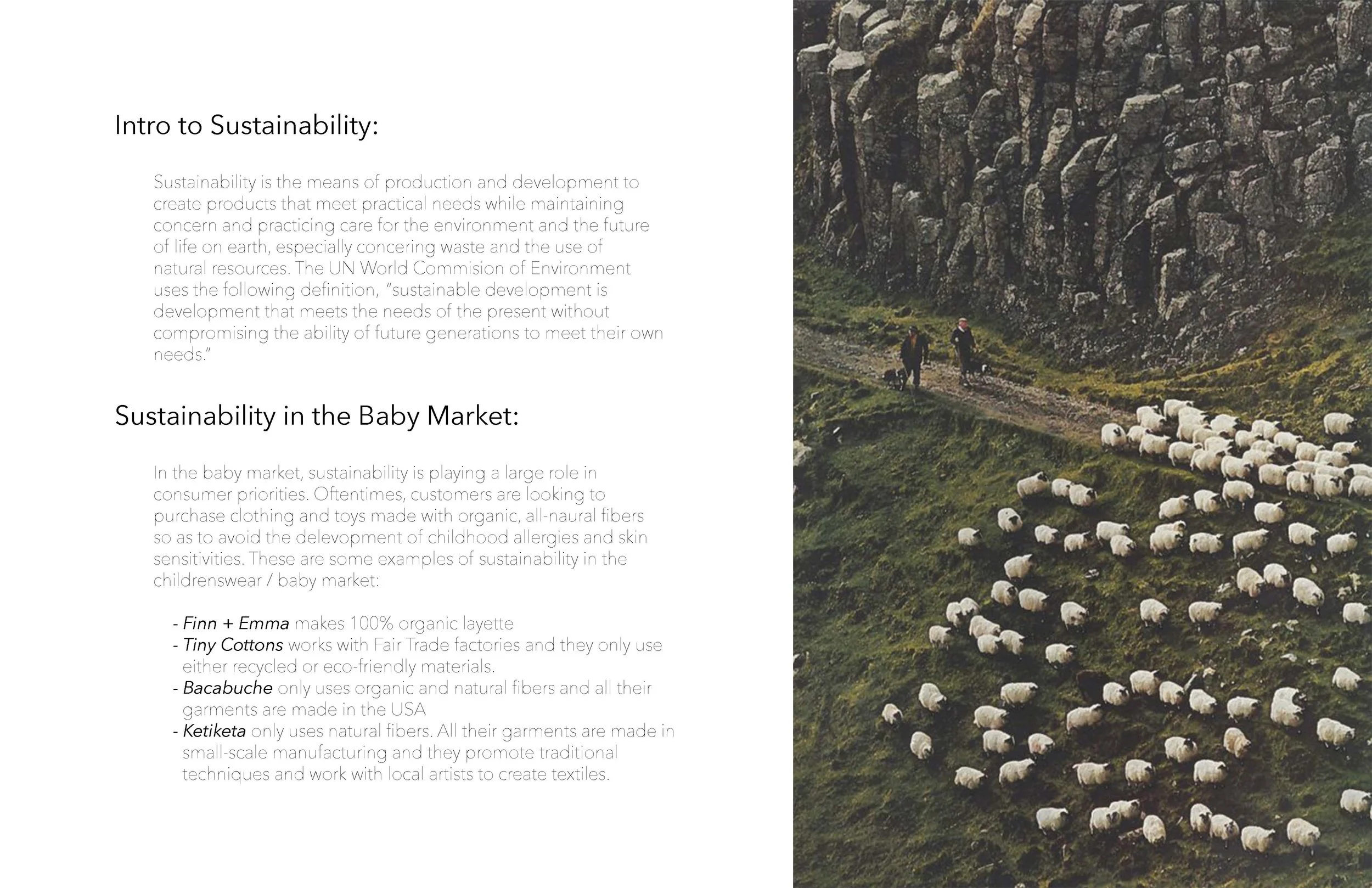 A Verdant Field Sustainability Project_Page_2.jpg