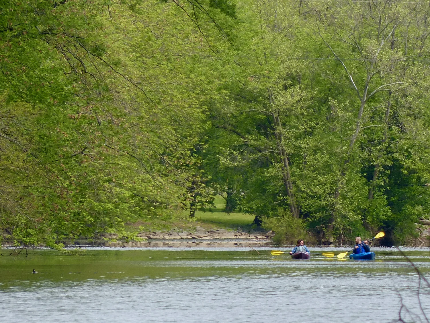 Special Offers & LastMinute Deals — kayakLanCo Kayak Rentals near