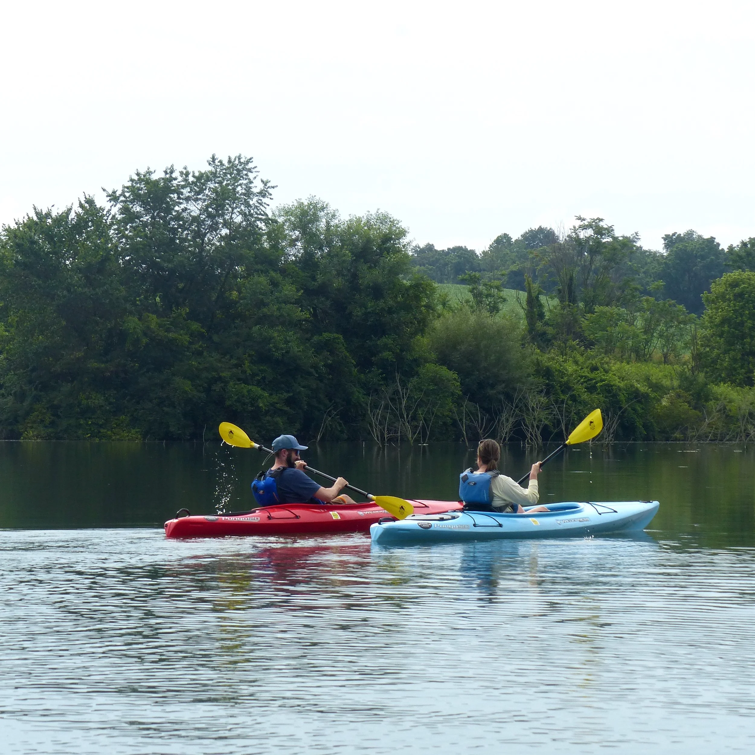 Speedwell Lake — kayakLanCo Kayak Rentals near Lancaster, PA