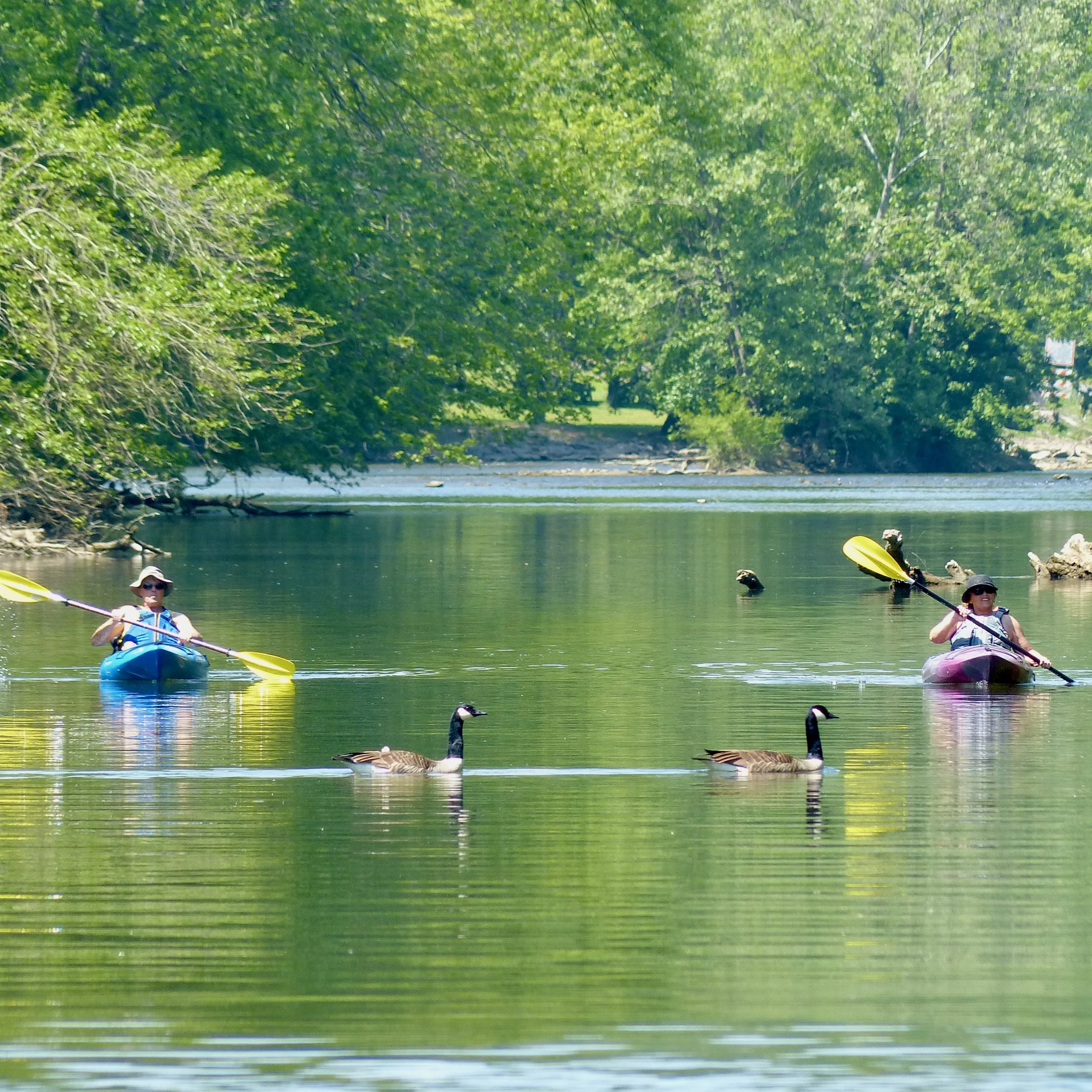 Conestoga River Watertrail — kayakLanCo Kayak Rentals near Lancaster, PA