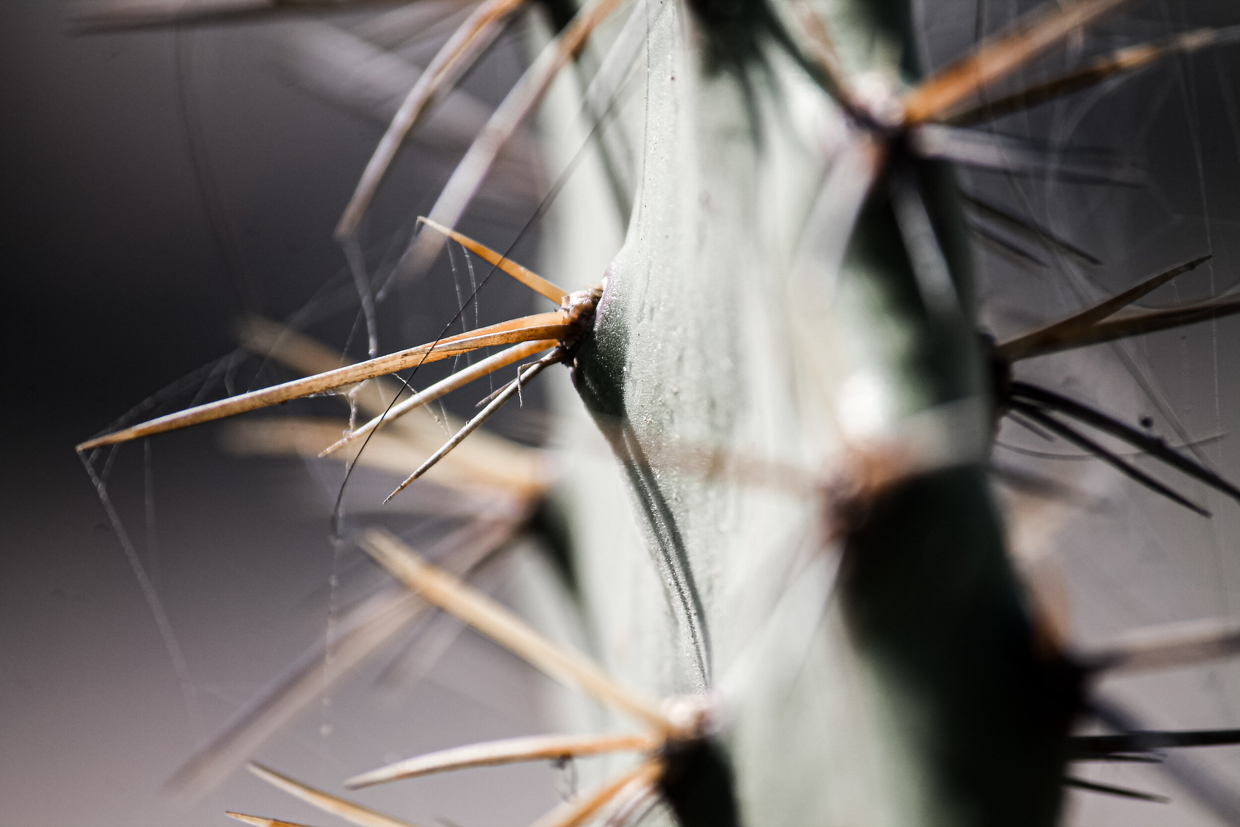 Nature-11.jpg