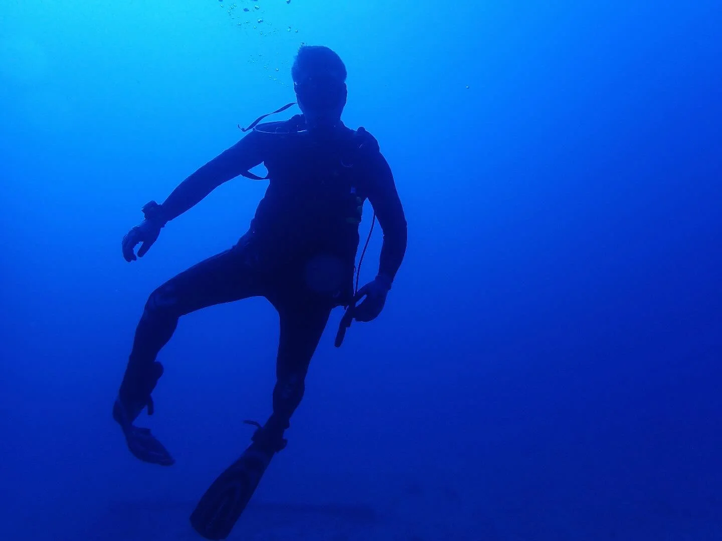 🌊 Kicking off this page with some exciting news - Florida Dive Log is heading to DEMA Show 2025 in Orlando as official media!

I&rsquo;ll be covering the latest in dive tech, Florida dive travel, and what&rsquo;s shaping the future of our underwater
