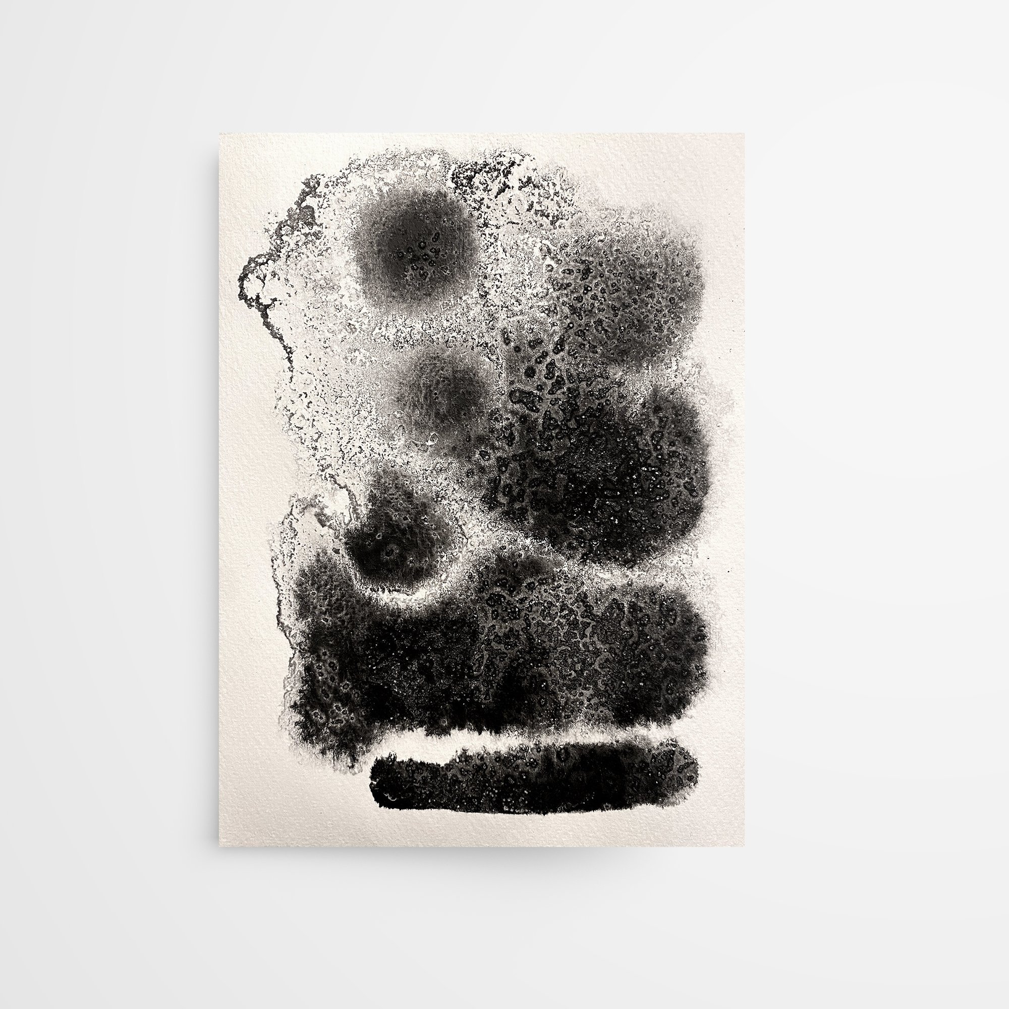 Untitled_Print.jpg