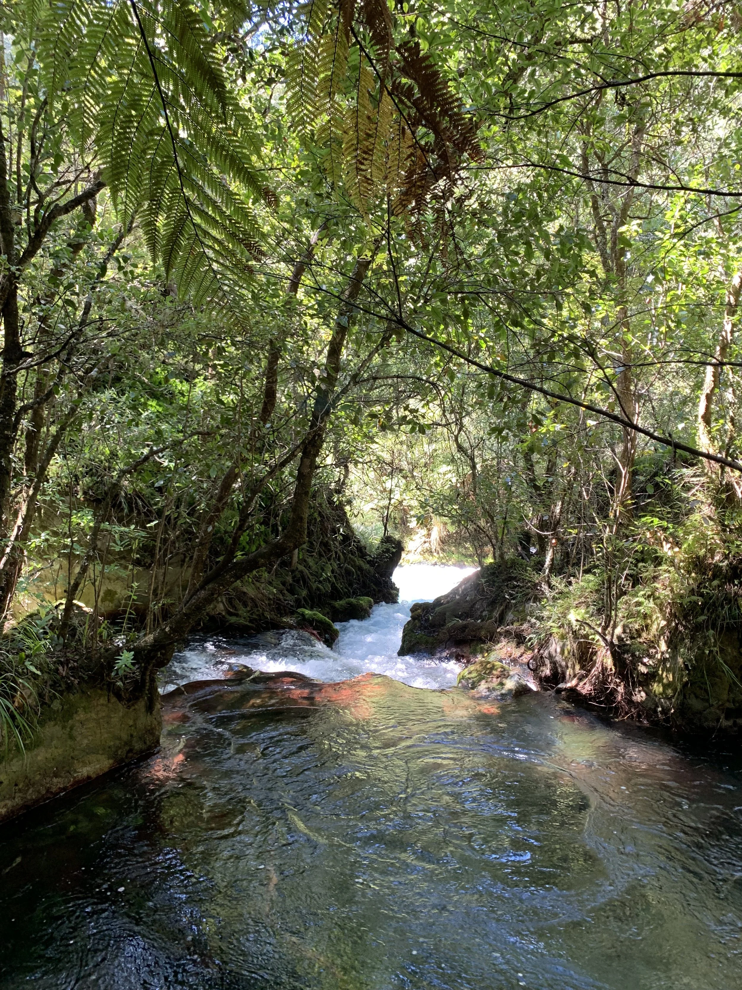 Tarawera 6.JPEG