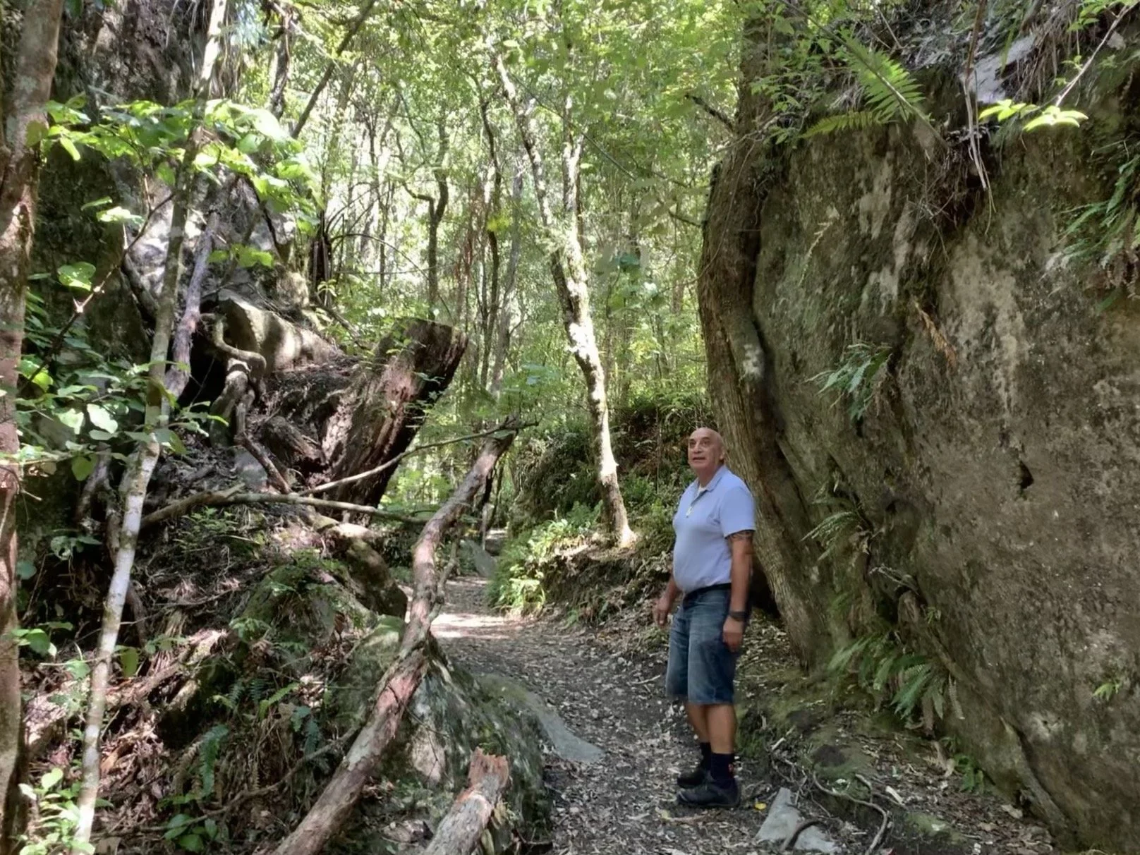 Tarawera Les Bush.JPEG