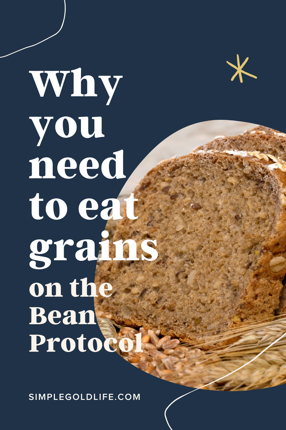 Benefits of grains on the Bean Protocol 3 .png