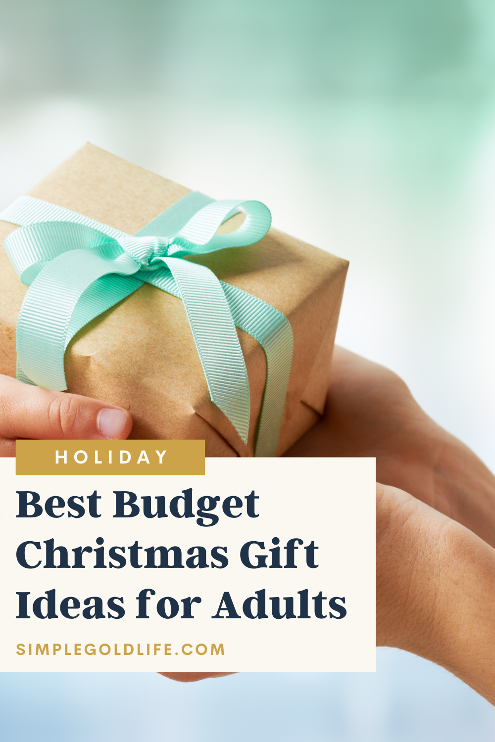  Best 2021 Cheap Gift Ideas for Adults! Your mom, best friend, and family will love them!  