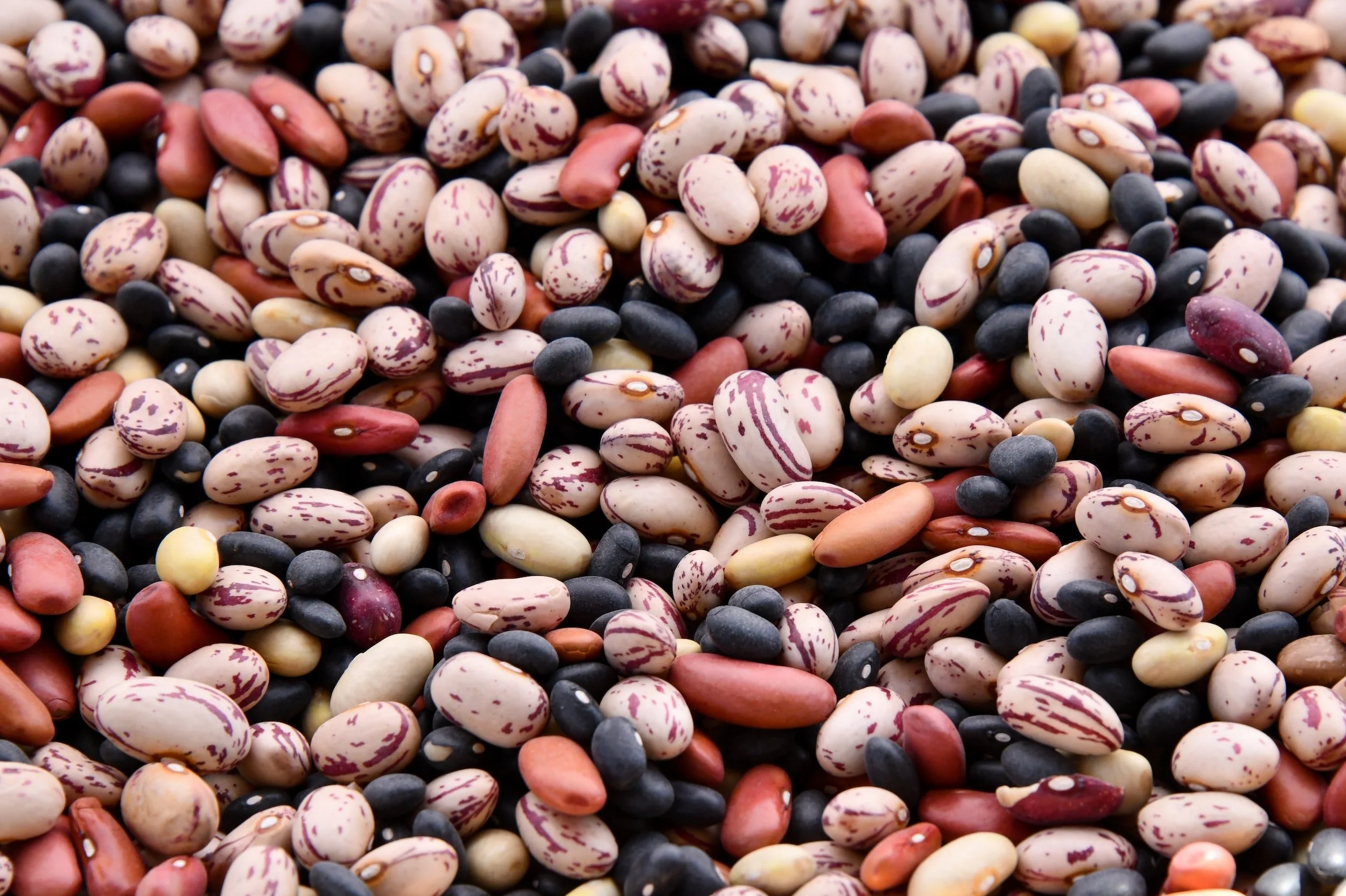 The Bean Protocol Frequently Asked Questions (FAQs) and Answers ...