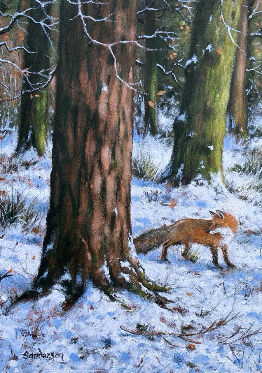 Fox in Winter woods..