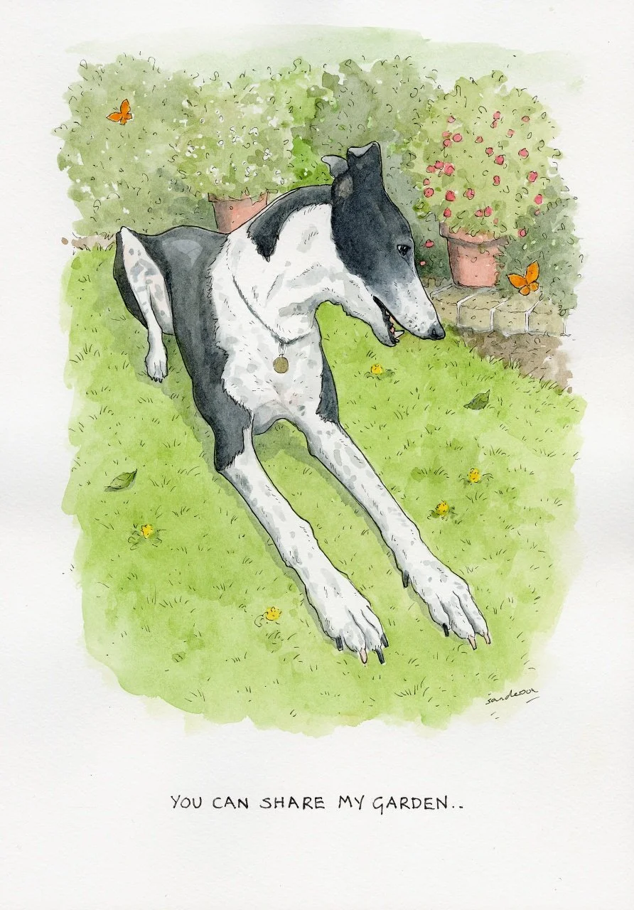 You can share my garden..