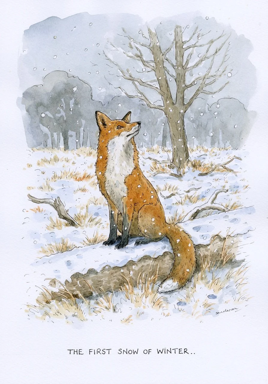The first snow of Winter..
