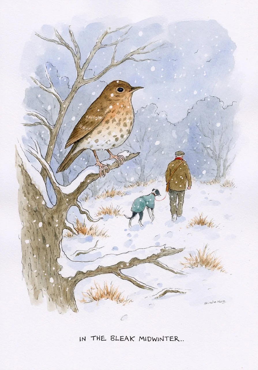 In the bleak Midwinter..