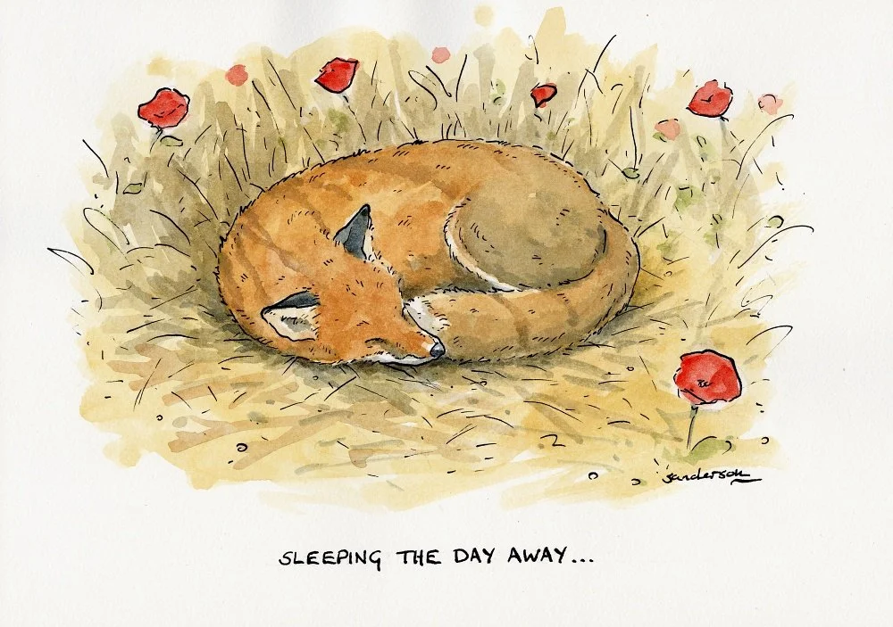 Sleeping the day away..