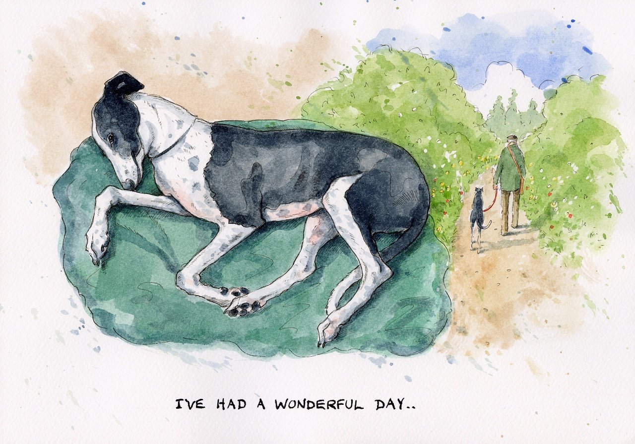 I've had a wonderful day..