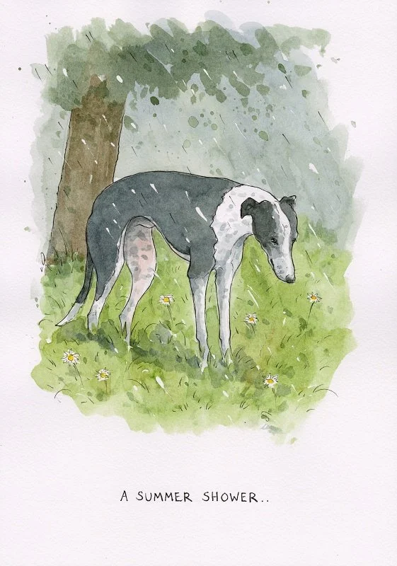 A Summer shower..