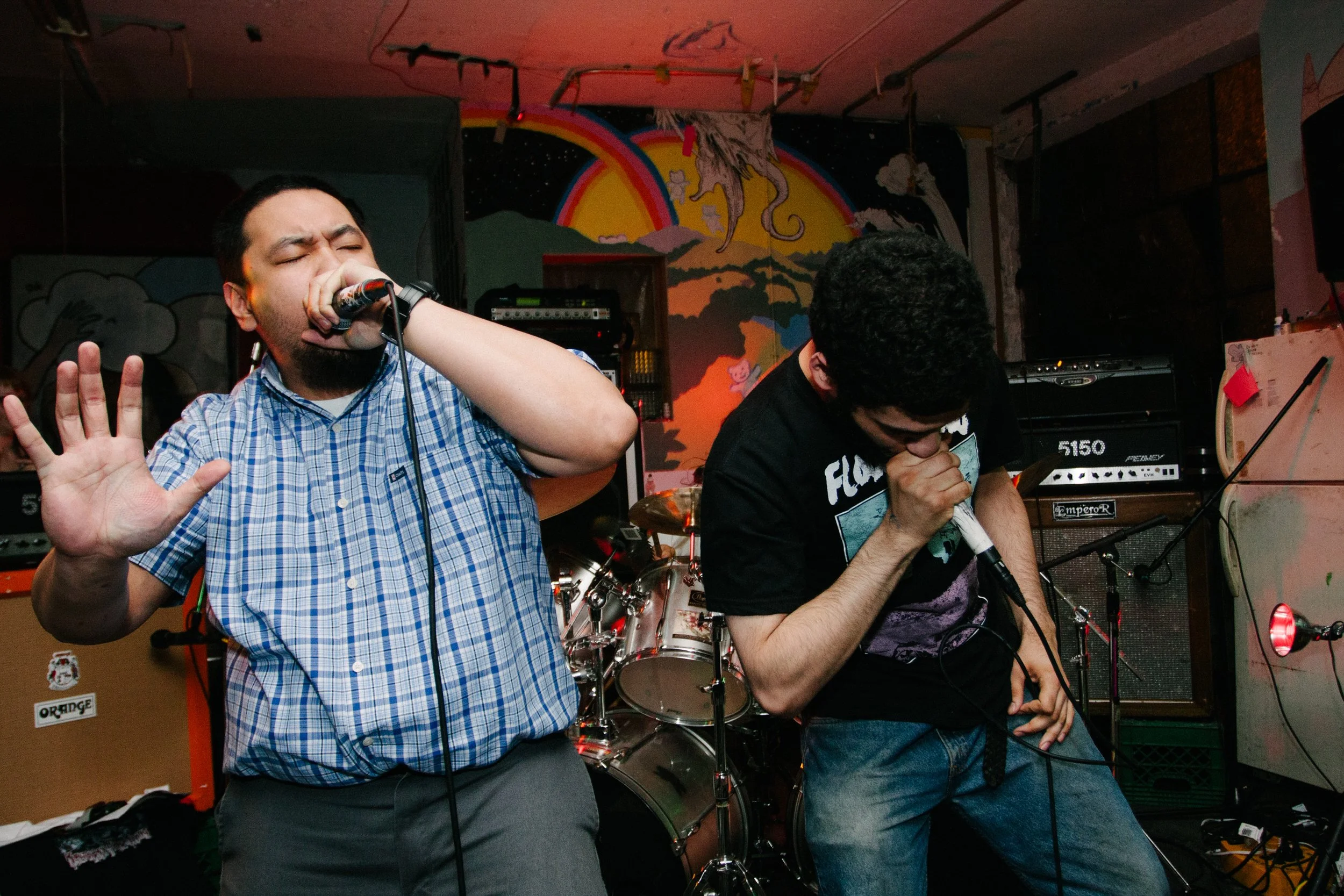 Andromorphus Rexalia