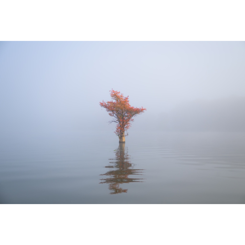 Solitude