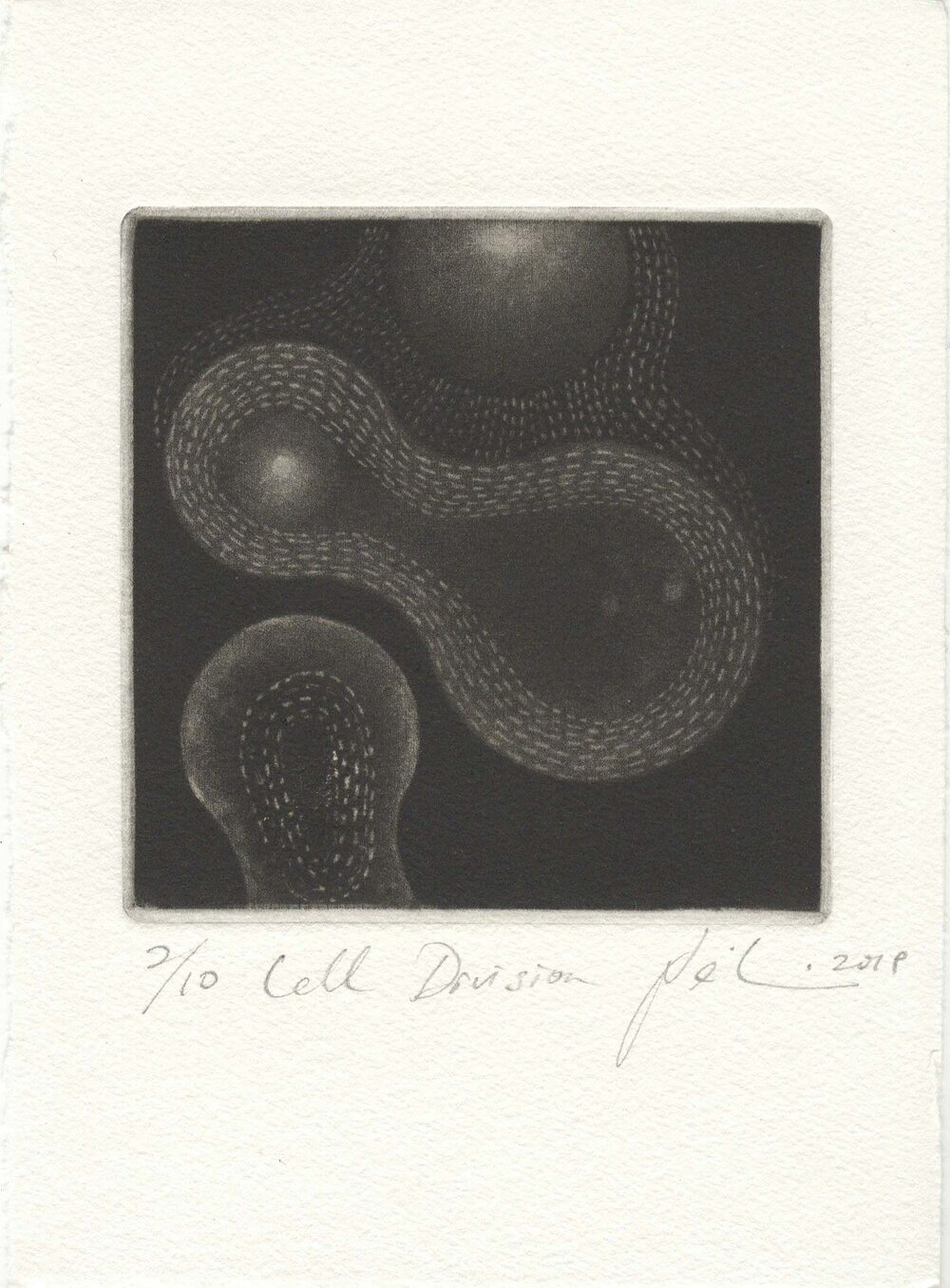 Cell+Division-.jpeg