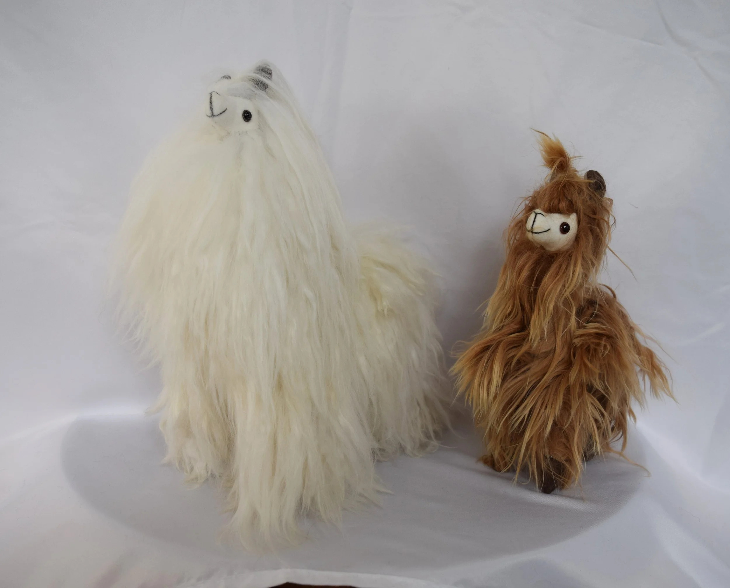 Suri Alpaca