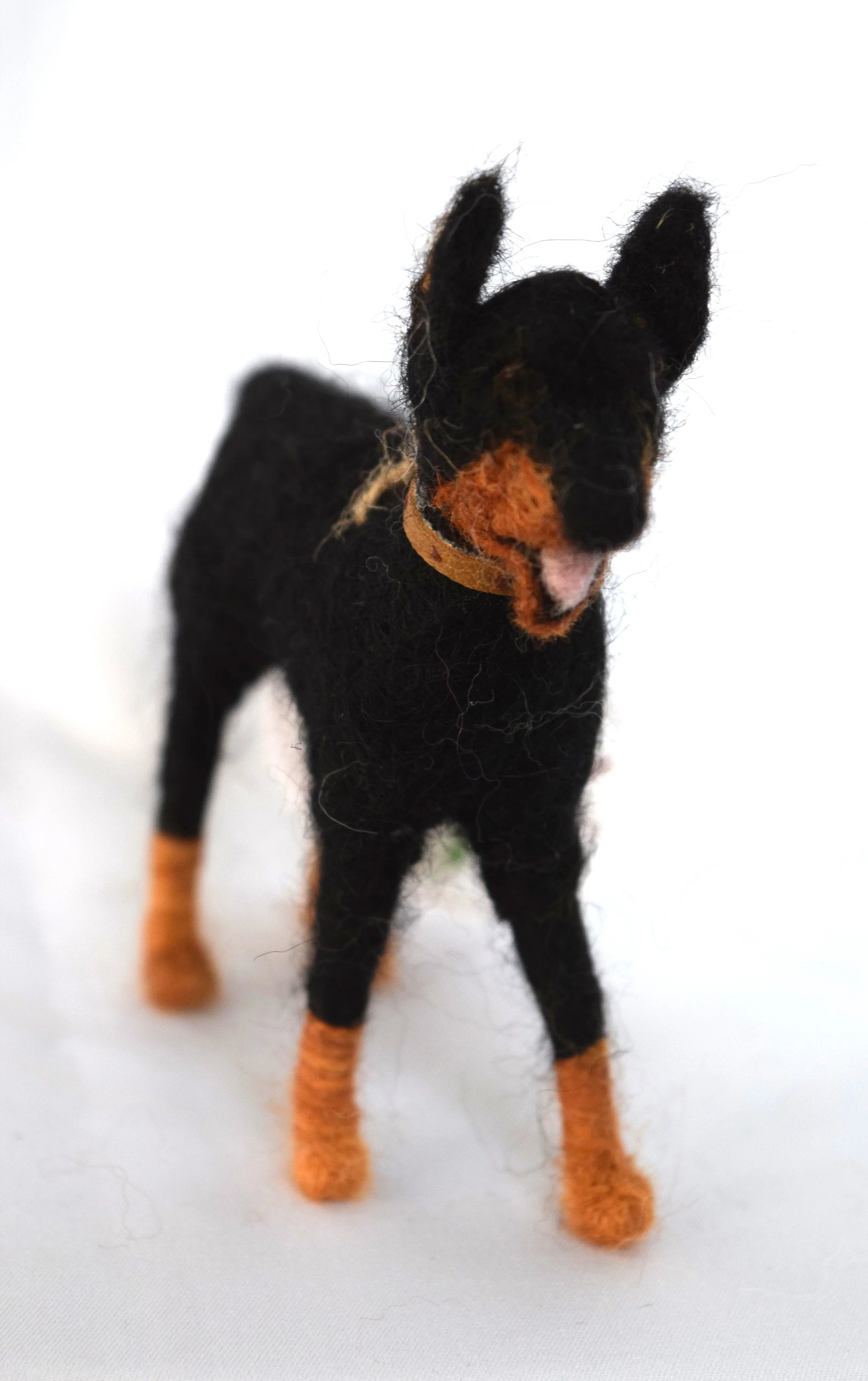 DSC_1374.JPG